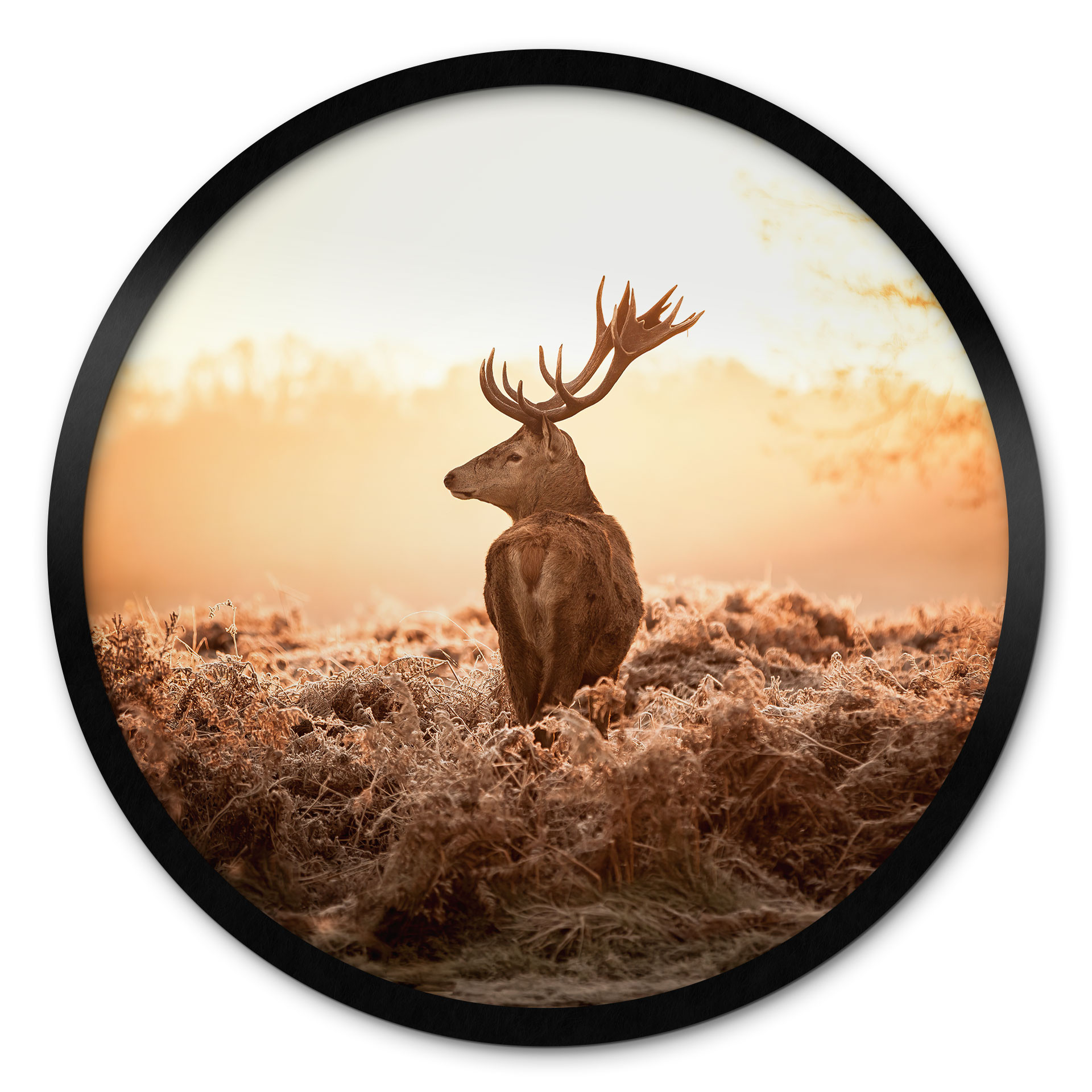 Poster Cerf majestueux