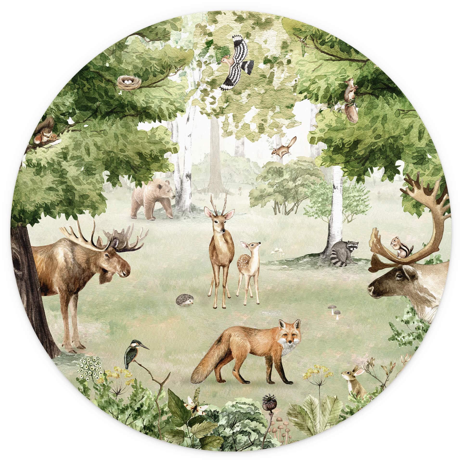 Behangcirkel Kikki Belle - Forest Wonder - vliesbehang/zelfklevend vliesbehang