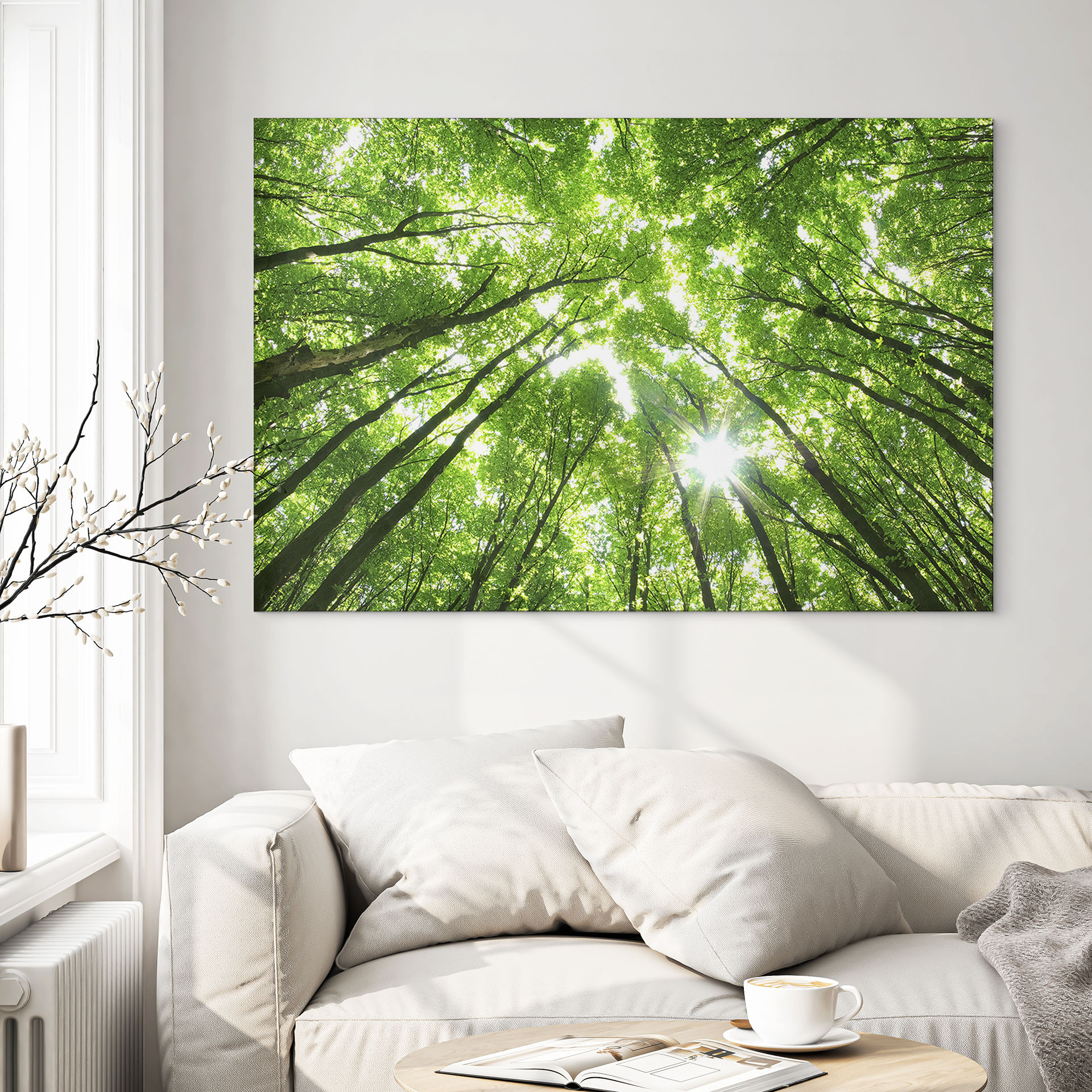 Wandbild Baumkronen im Wald - Alu-Dibond