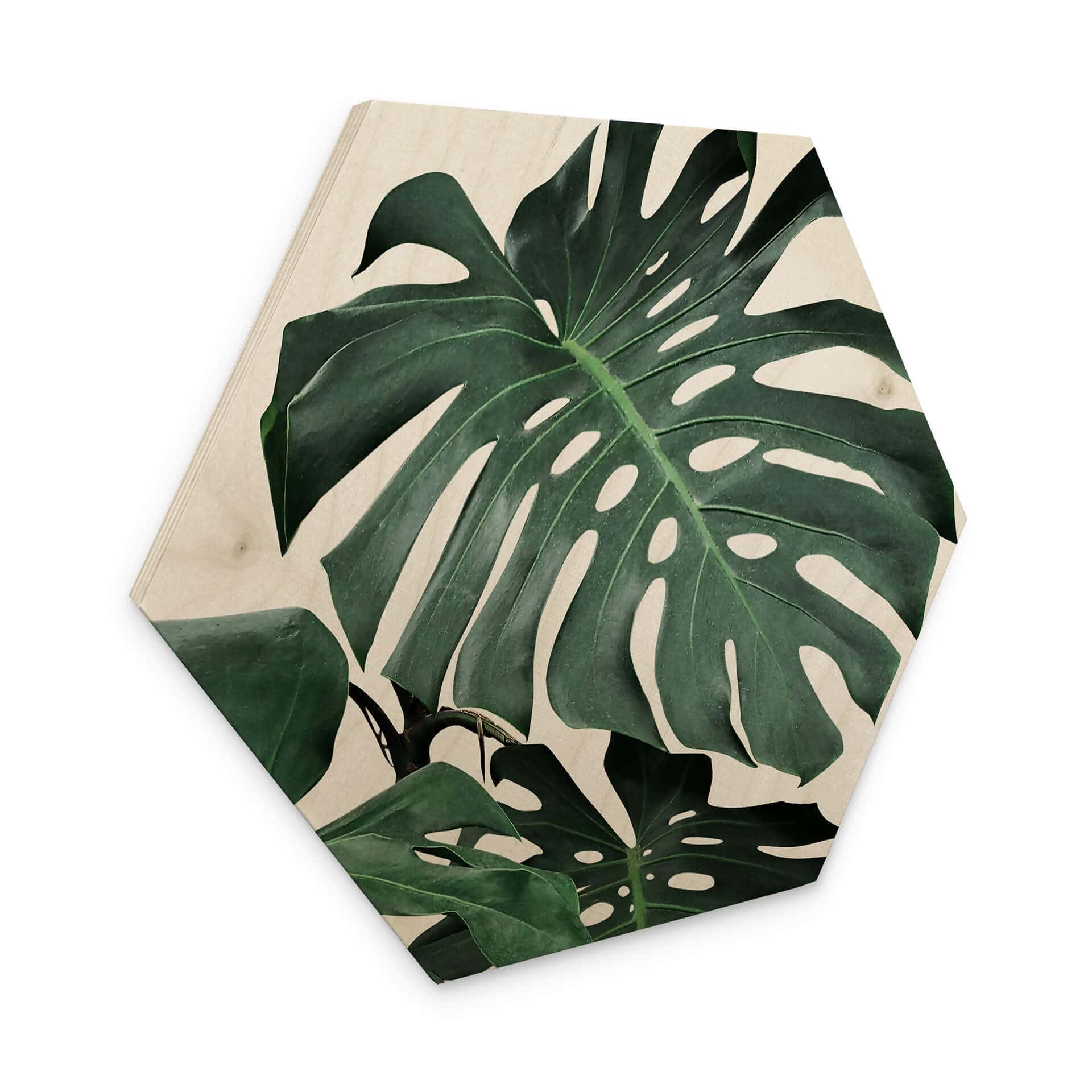 Esagono in legno Sisi & Seb - Monstera