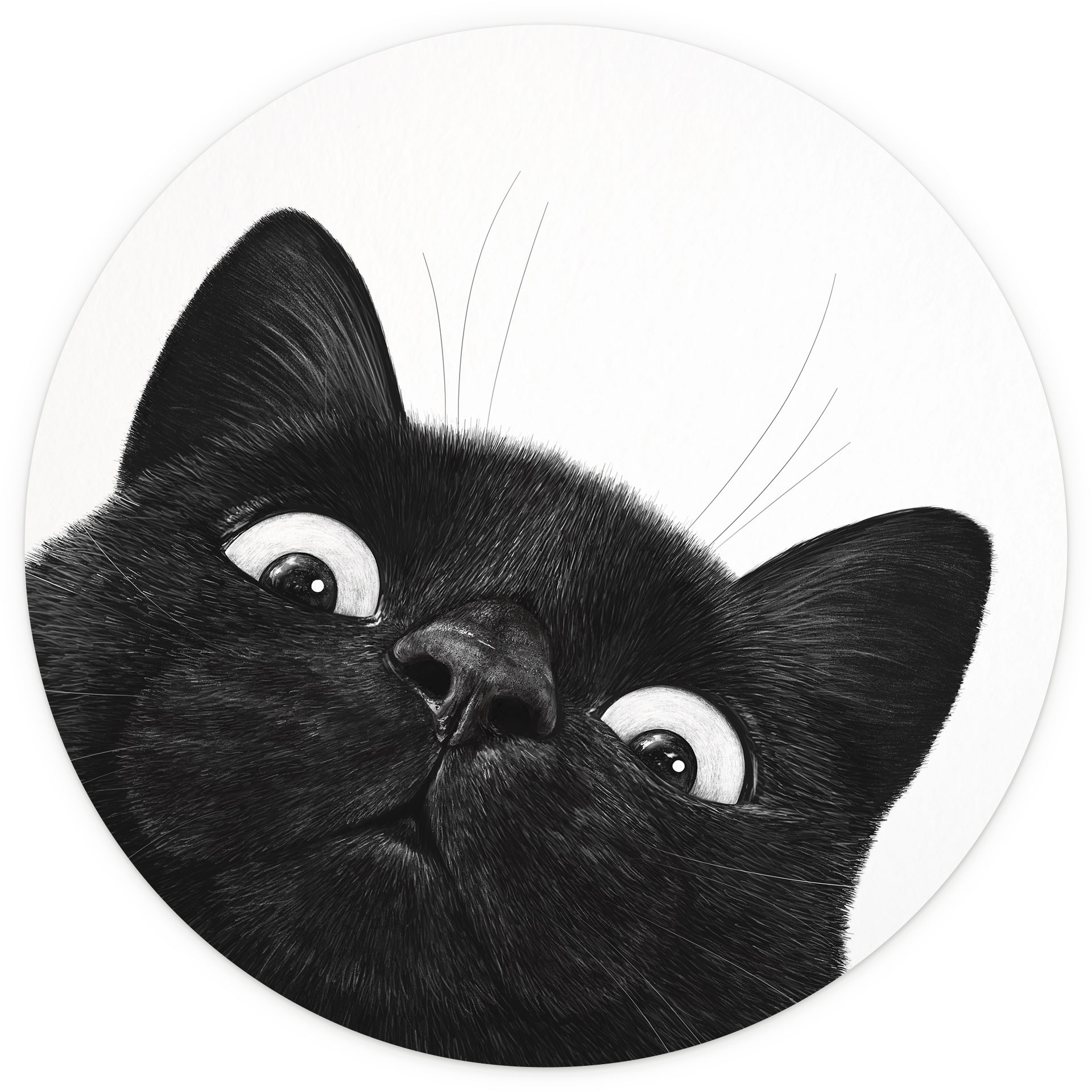 Fotobehang Grappige zwarte kat - Korenkova - Rond