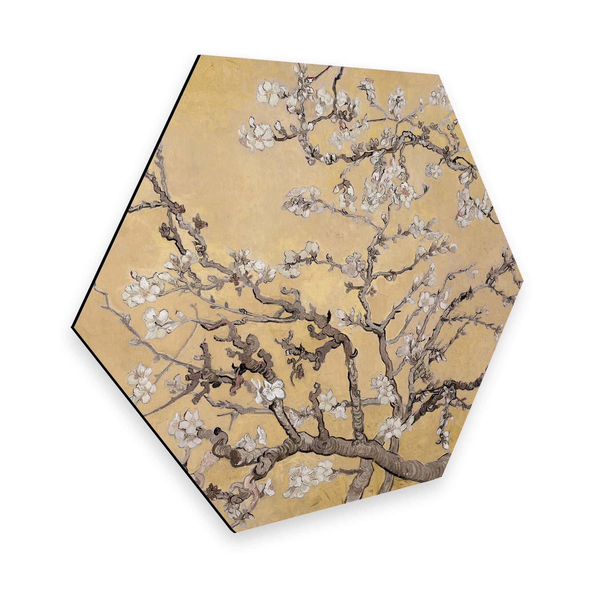 Hexagon - Alu-Dibond van Gogh - Mandelblüte Creme