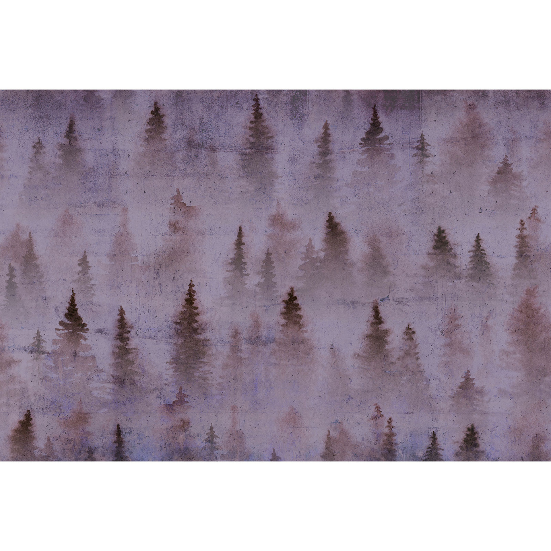 Architects Paper Papier peint photo Atelier 47 Coniferous forêt