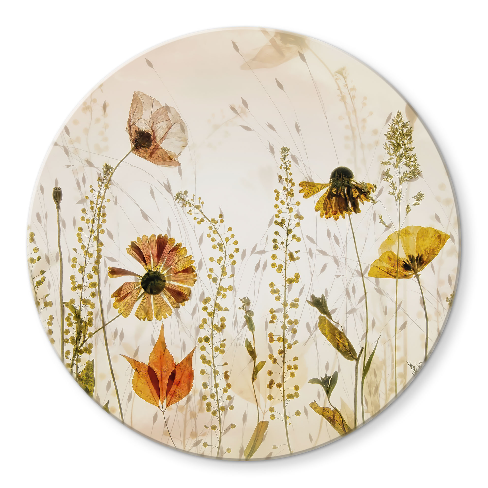 Glasbillede - Vilde engblomster i sollys - Talen - Rund