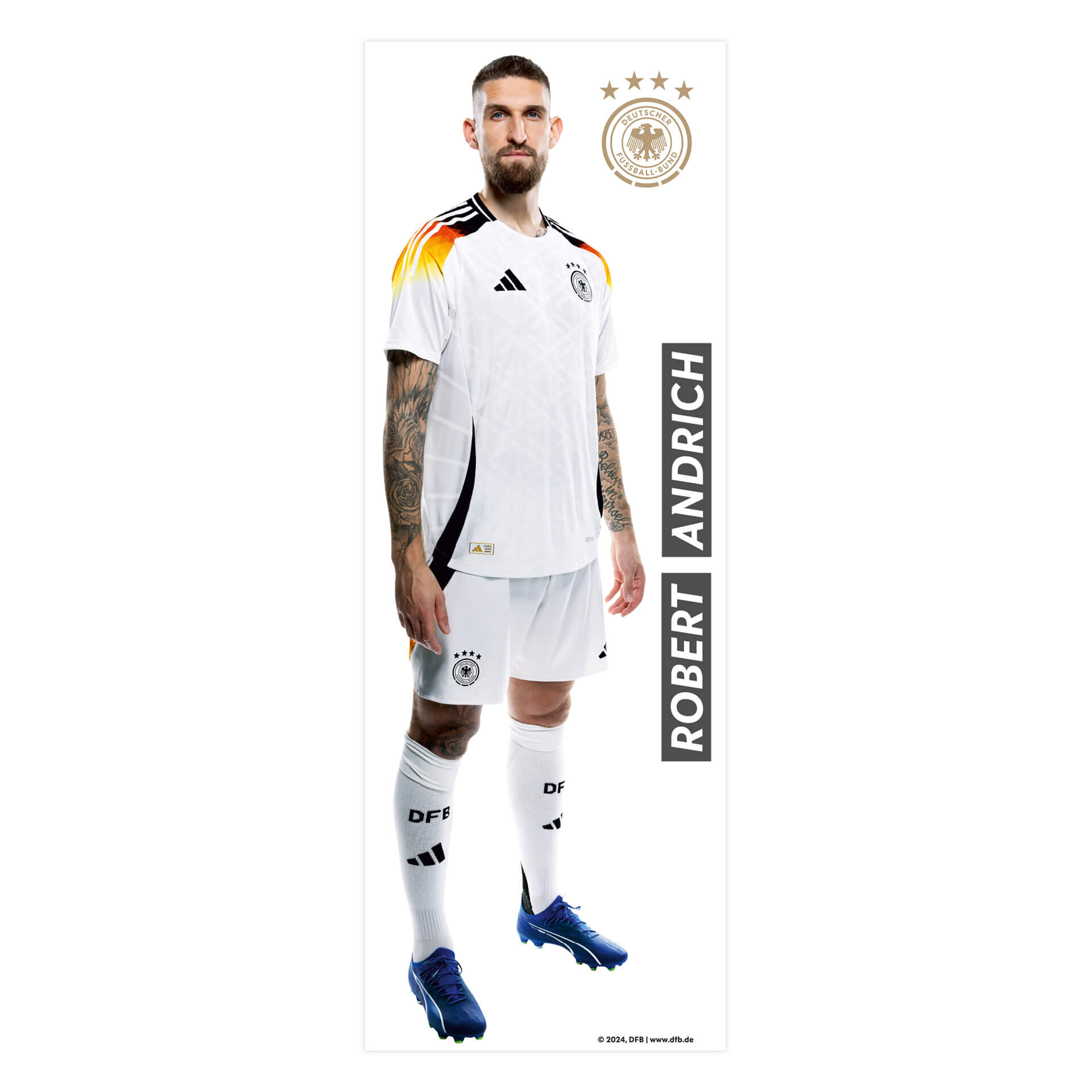 DFB Sticker EM für die Wand, Wandtattoo - Andrich