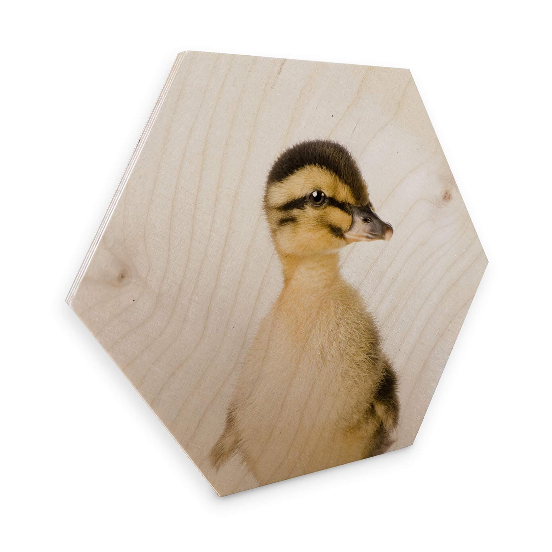 Esagoni in legno Sisi & Seb - Anatroccolo