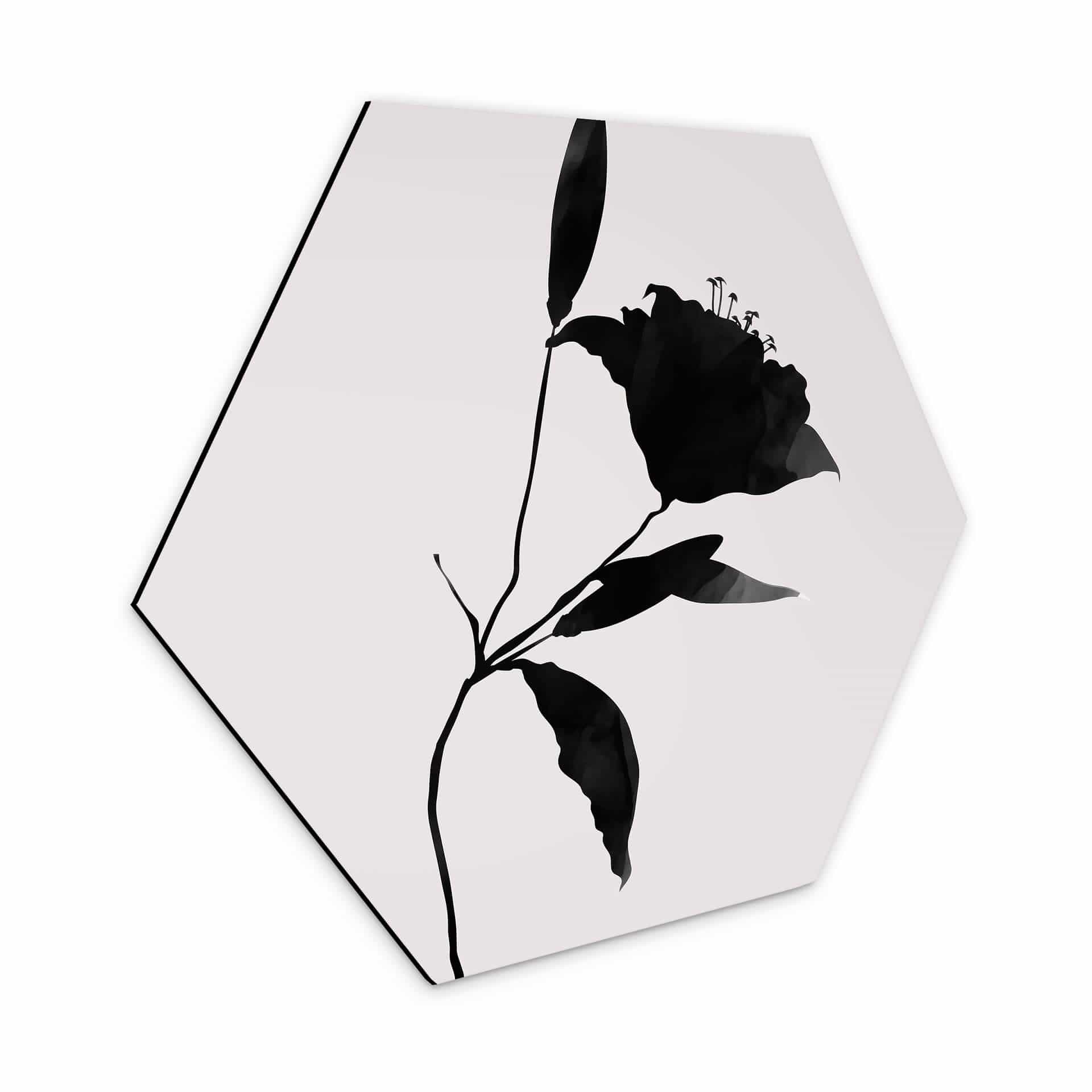 Hexagon Dibond Kubistika - Nero