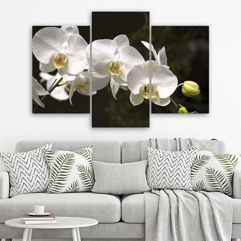 3 stykke lærredsprint Orchid Flowers Nature White