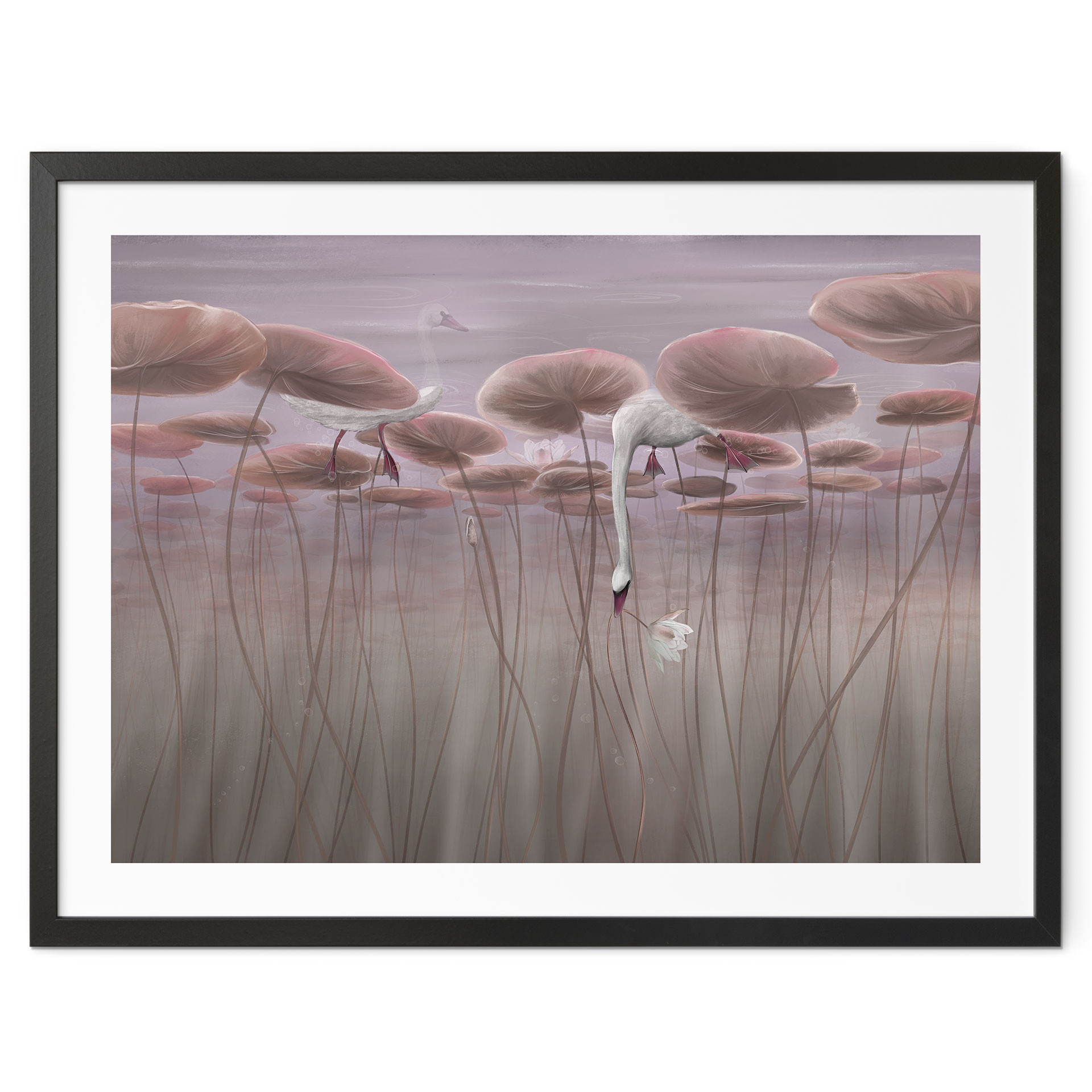 Poster Lotusblumen mit Schwan im Wasser in Altrosa - Ms Tiff
