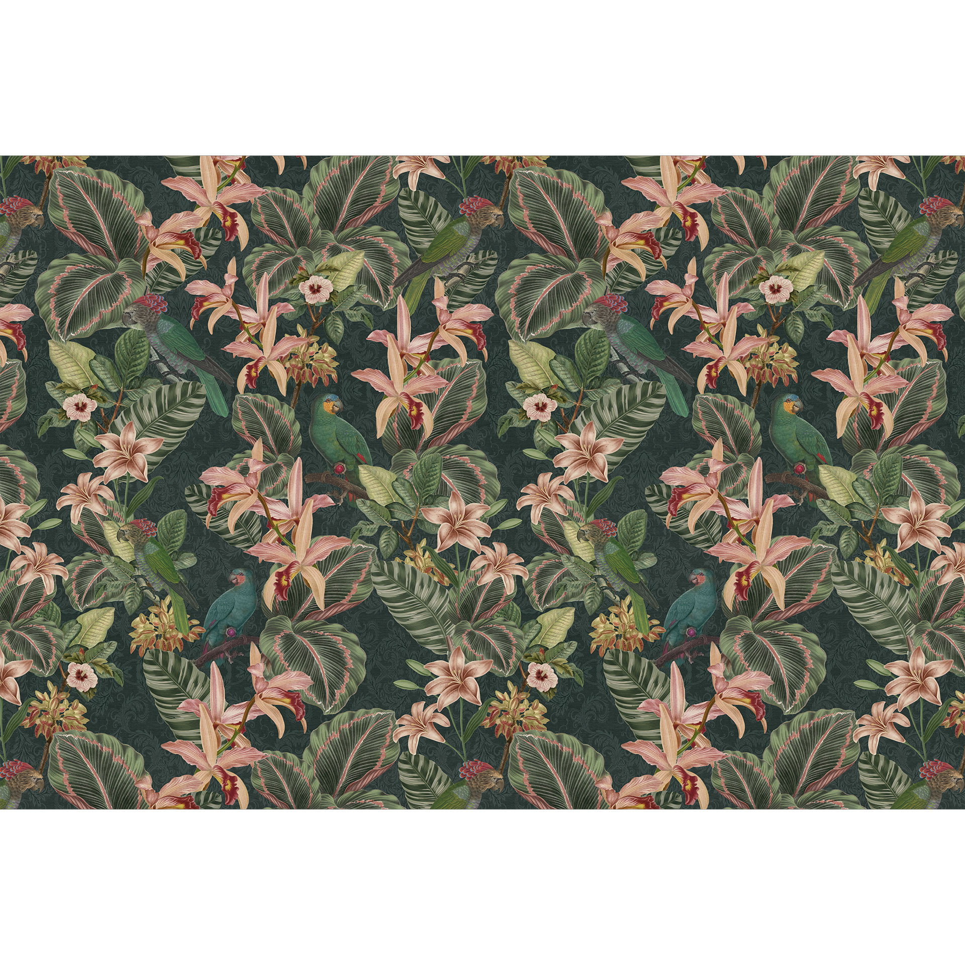 Jungle met papegaaien nachtgroen | stadsjungle Fotobehang - Bloomery Decor