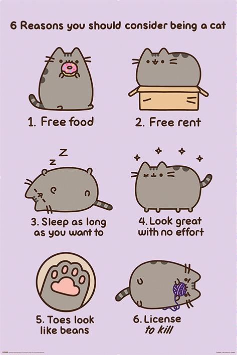 Poster, Filmposter Pusheen - Reasons to be a Cat 61x91,5 cm