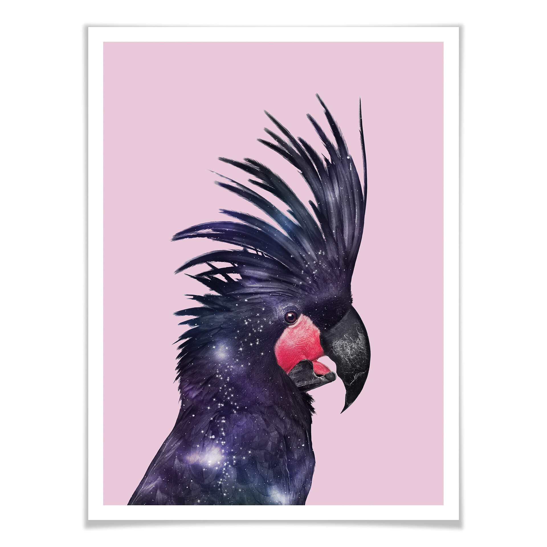 Plakat Loose - Galaxy Bird