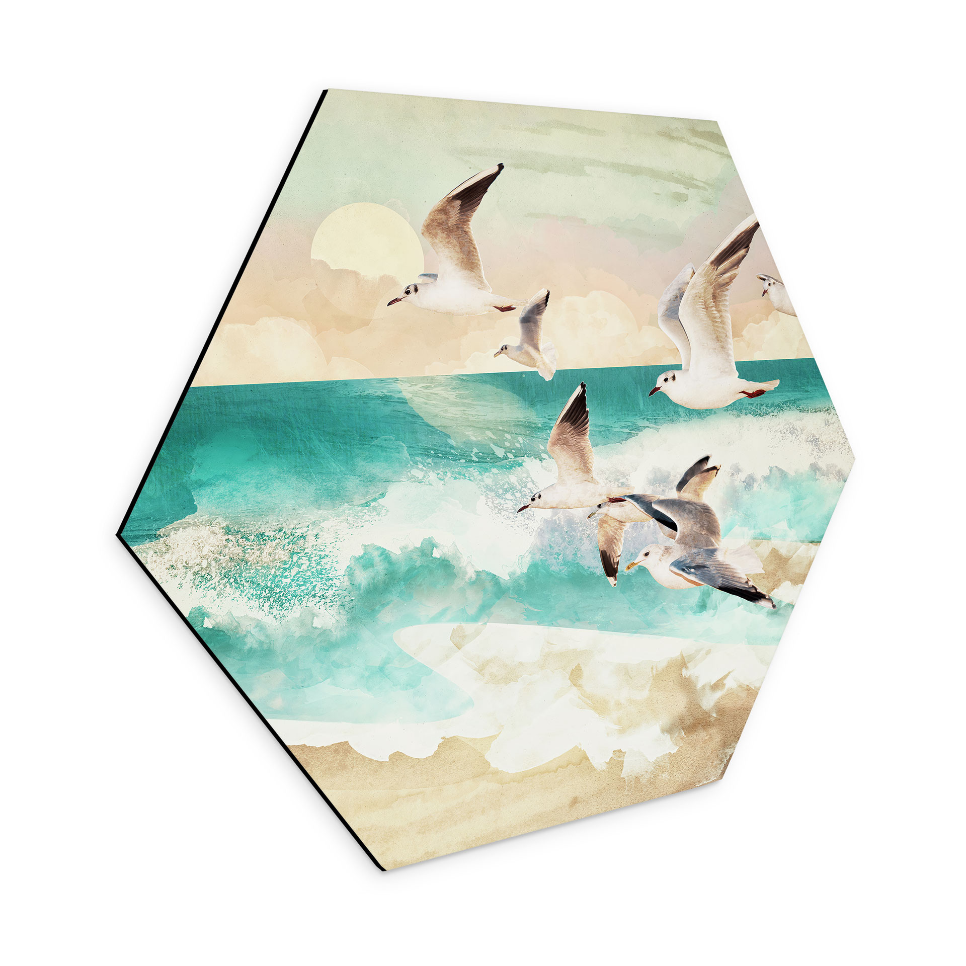 Hexagon Dibond Måger på stranden - SpaceFrog Designs