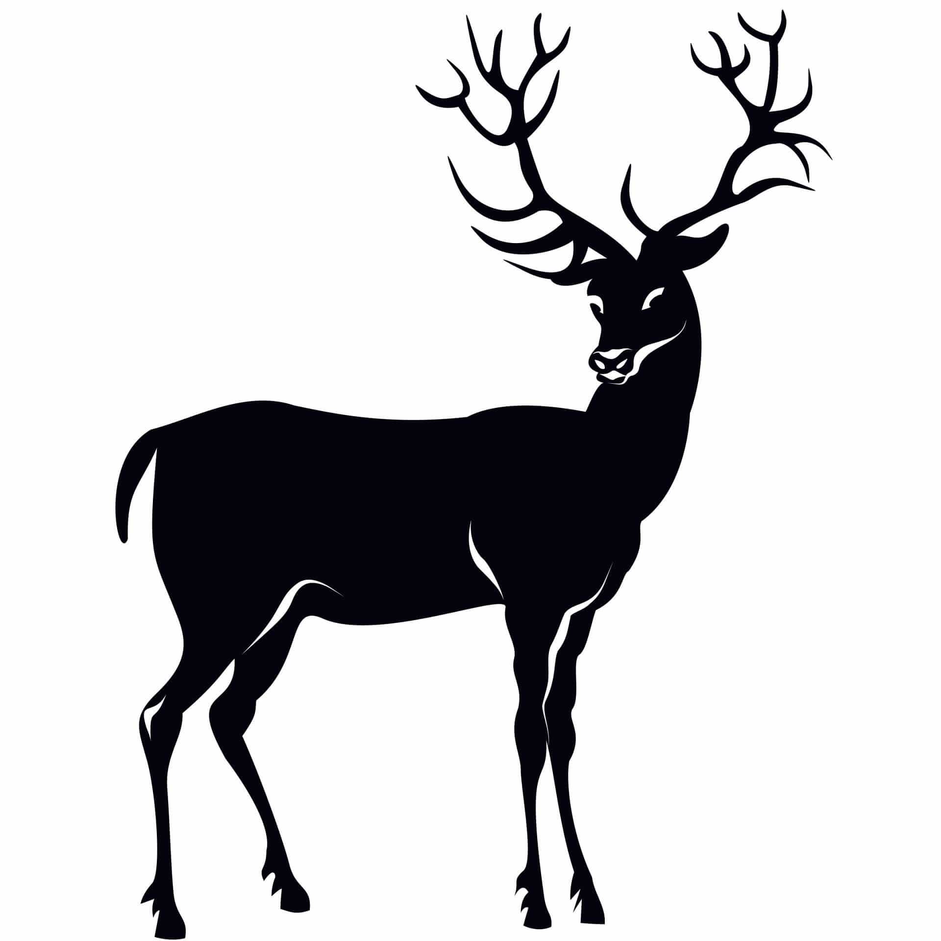 Wallsticker Rådyr 2