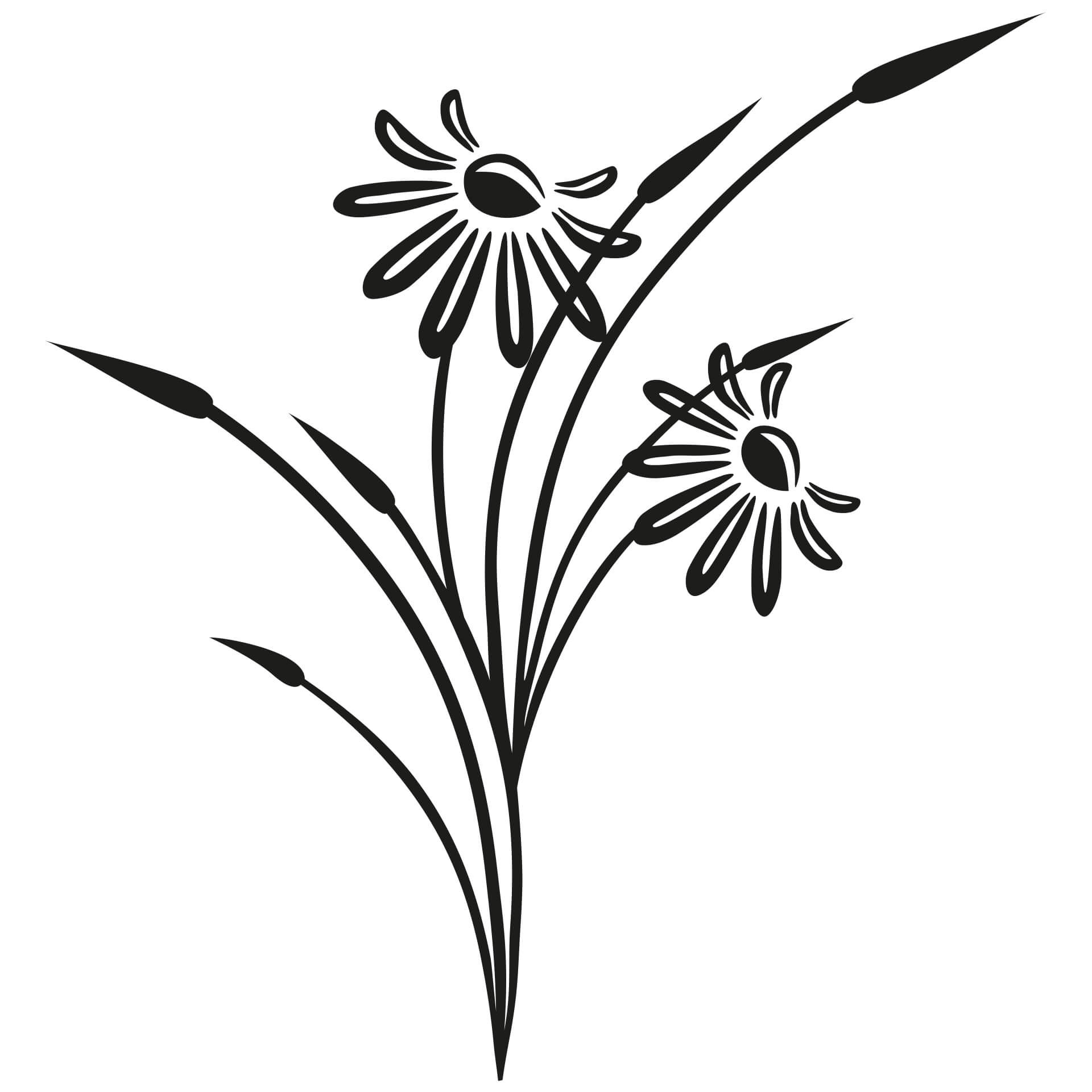 Wallsticker Fidela Mælkebøtte