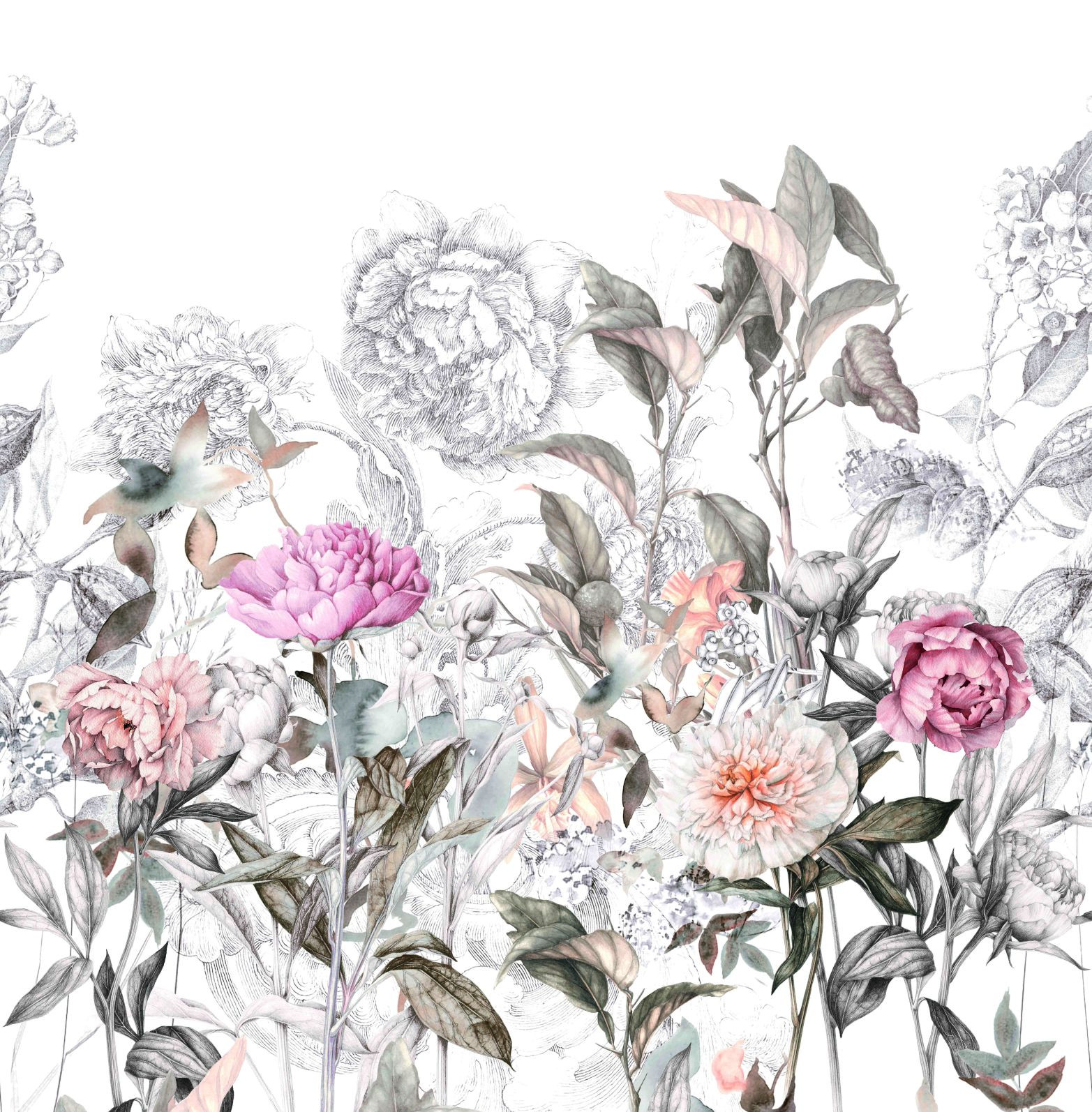 Papier peint photo motif fleurs vintage dessin en gris rosé 2,7 x 2,65 m