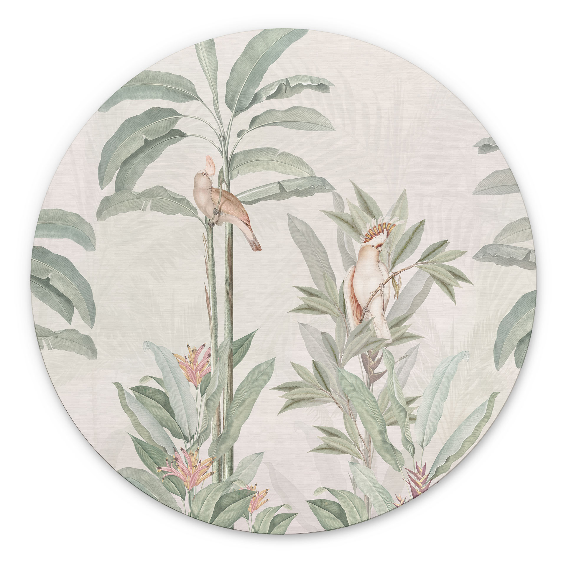Tropisk skov med kakaduer - Bloomery Decor - rund – print på aluminium (Alu-Dibond)