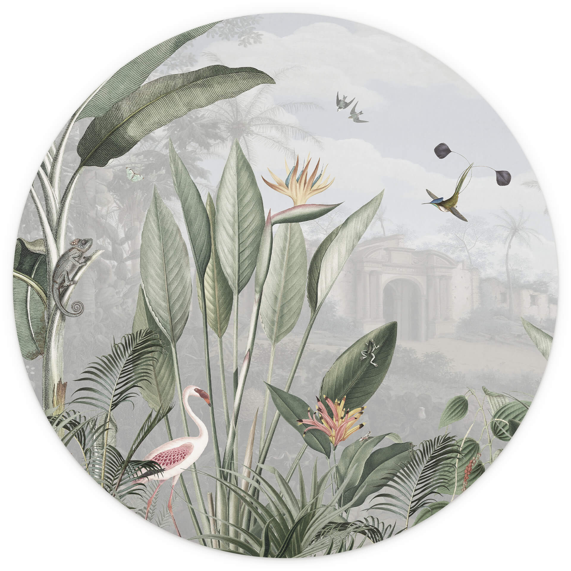 Behangcirkel Sir Edward - Botanisch - vliesbehang/zelfklevend vliesbehang