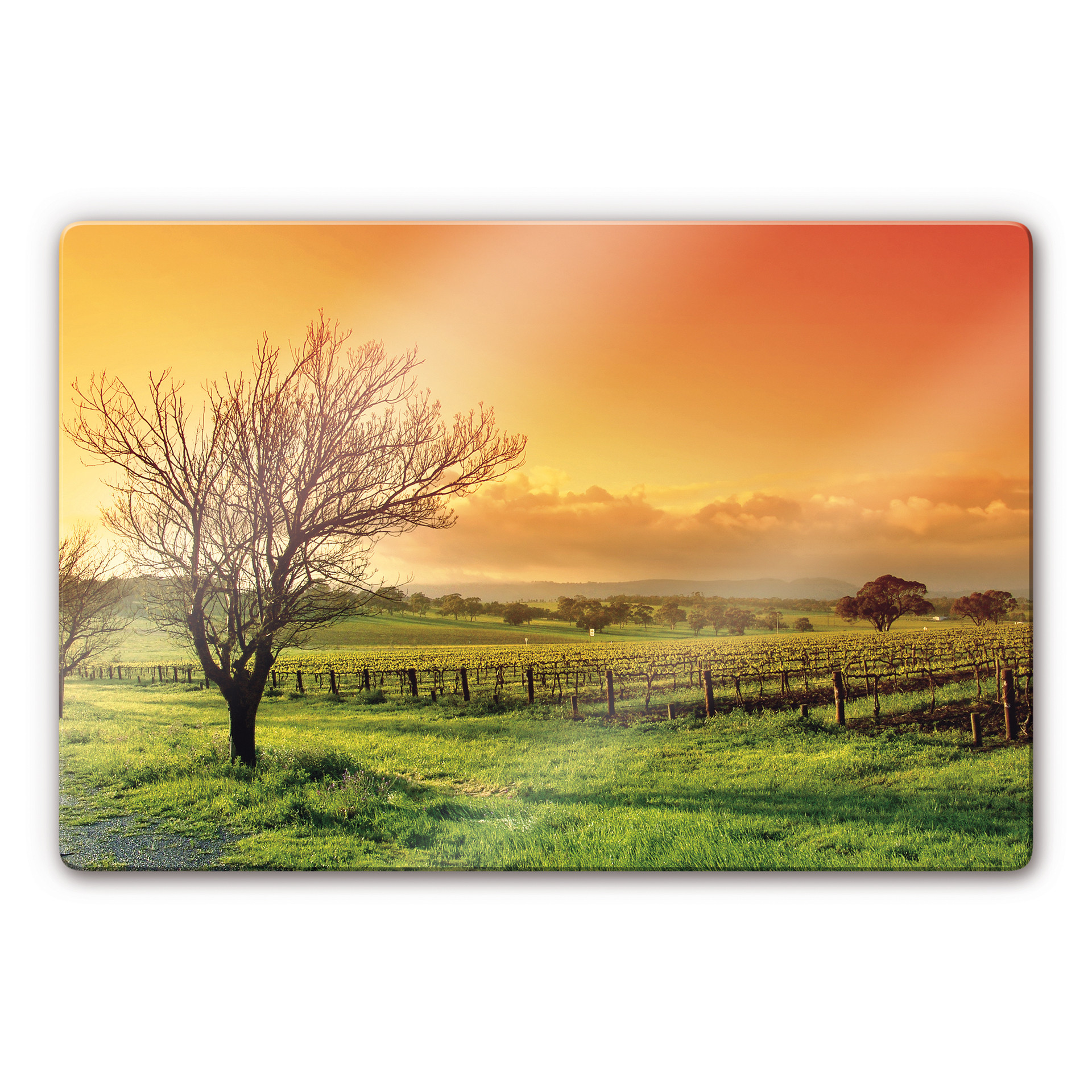 Tableau en verre - Vignobles