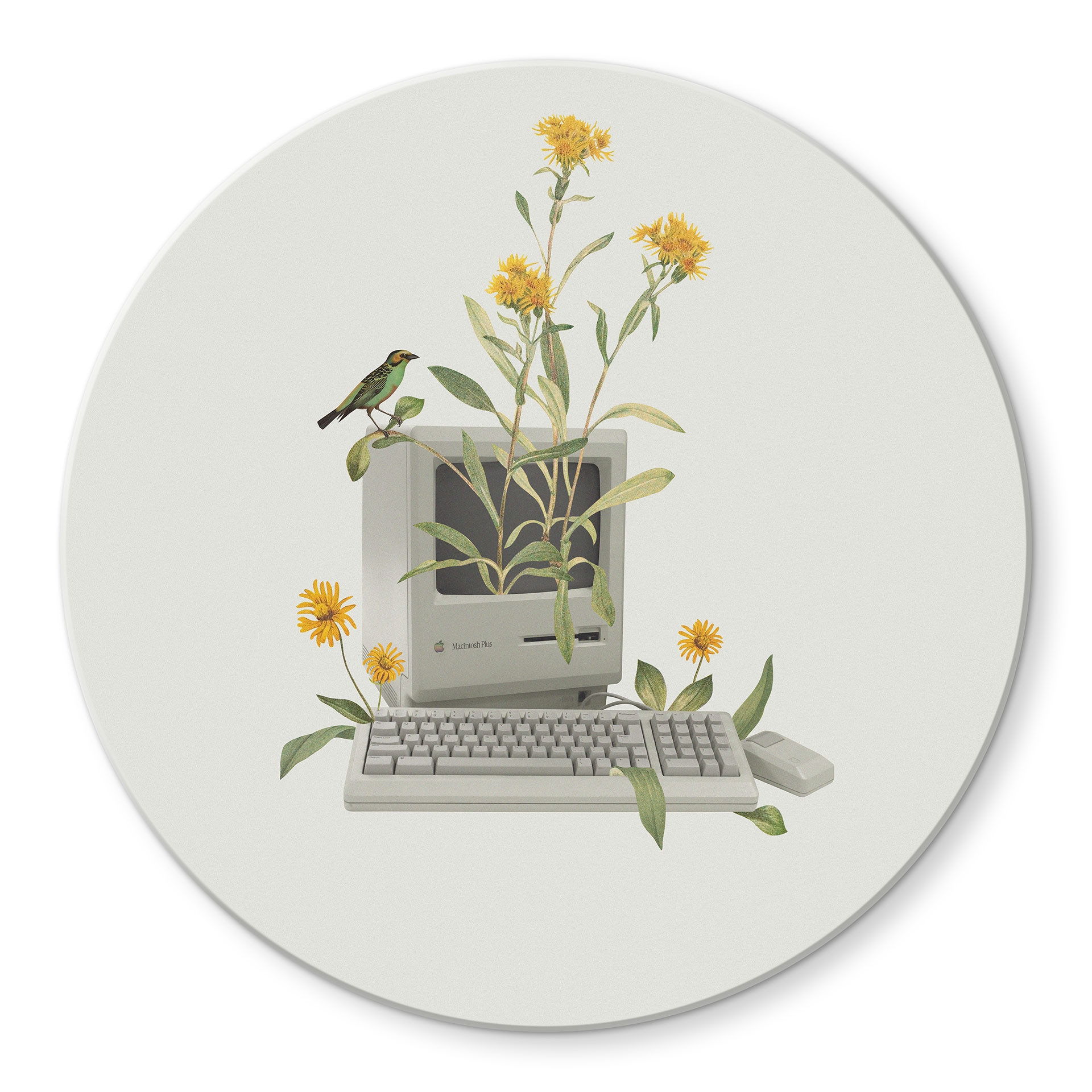 Glasbild Vintage Botanik-Computer - Frida Floral Studio - Rund