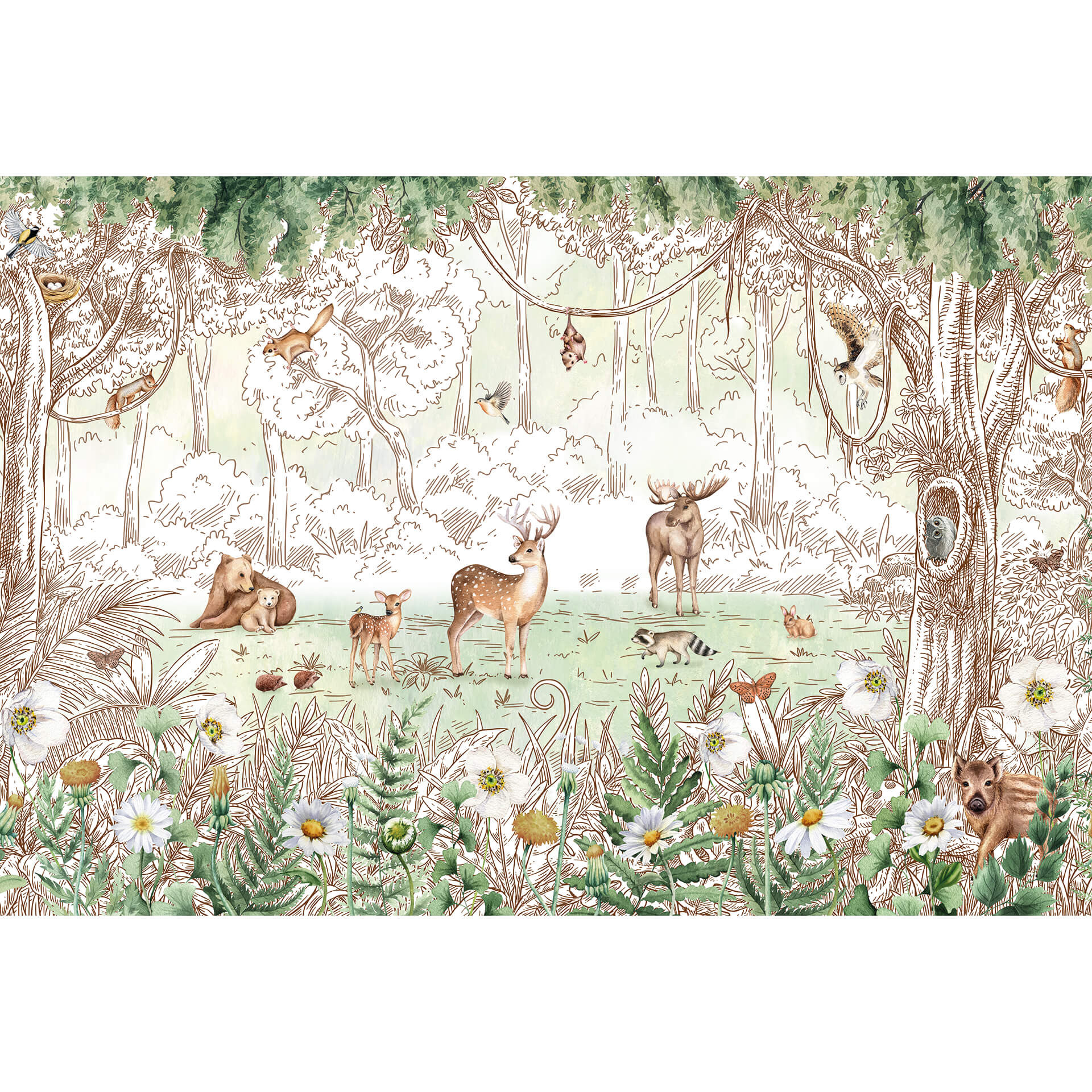Fotobehang Kikki Belle - Forest Friends