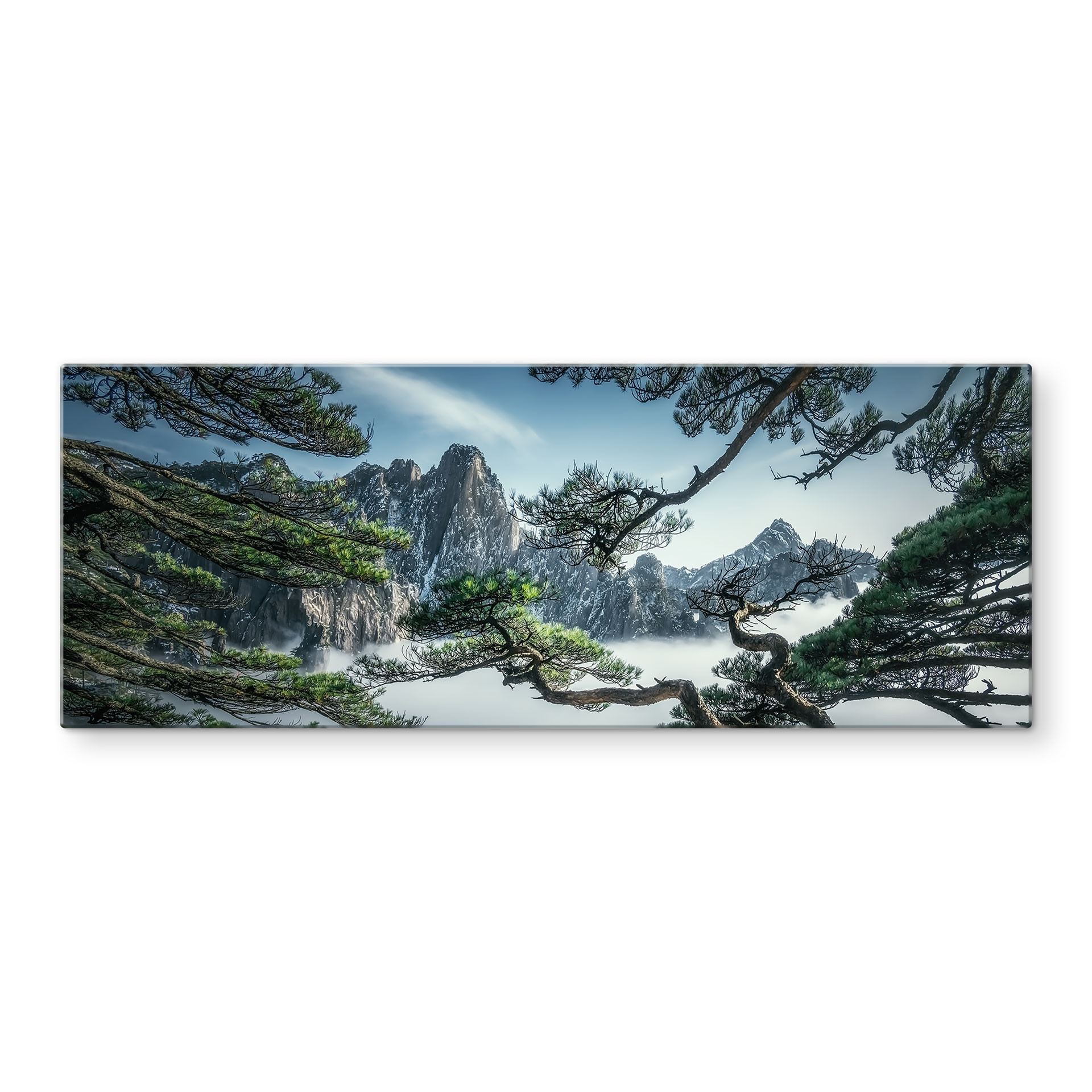 Glasbild Kiefernwald im Huang Shan Gebirge - NingYun Ye - Panorama