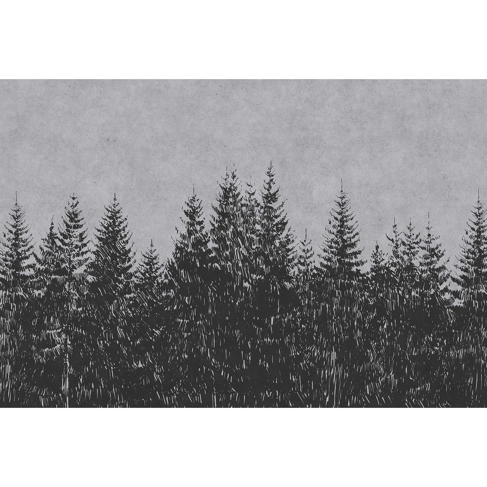 Livingwalls Fotobehang Walls by Patel black forest 3