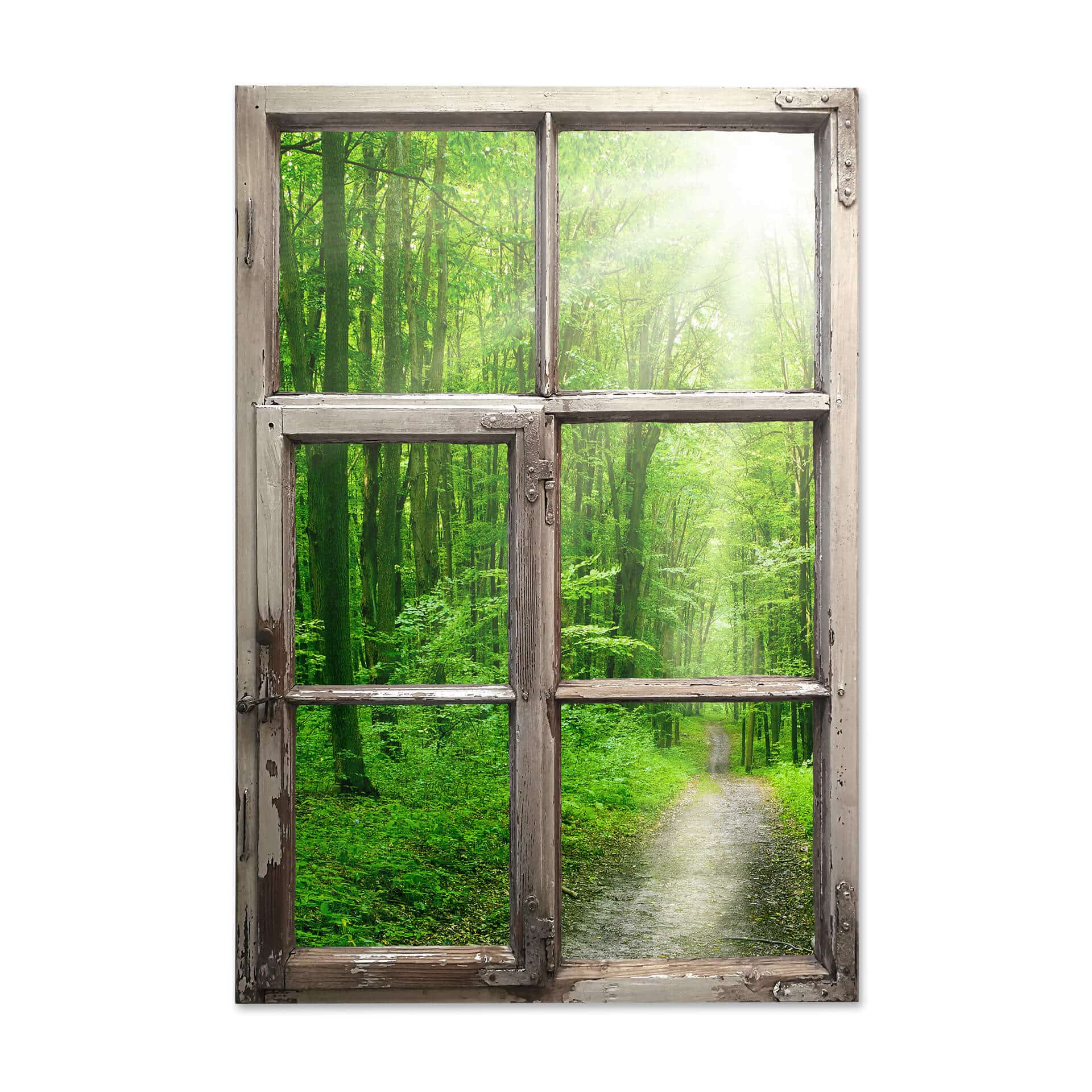 3D Wallsticker vindue shabby - Sunny Forest