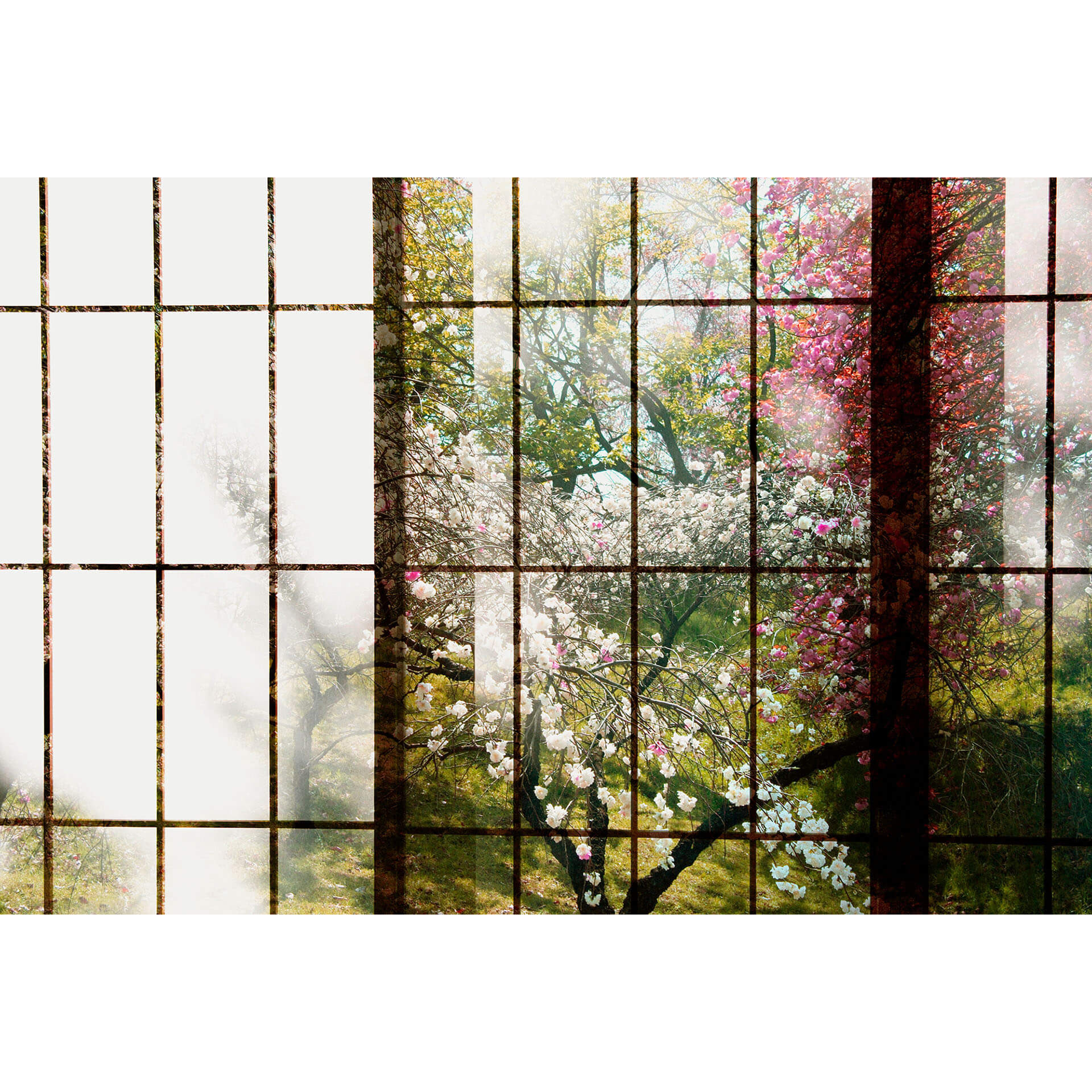 Livingwalls Fotobehang Walls by Patel 2 orchard 1