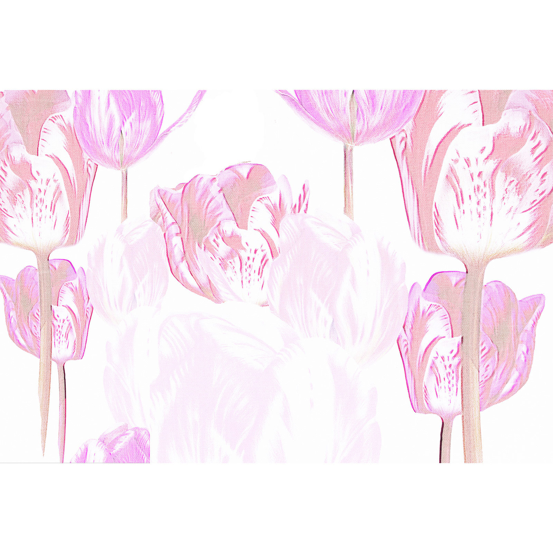 Architects Paper Atelier 47 Tulip Art