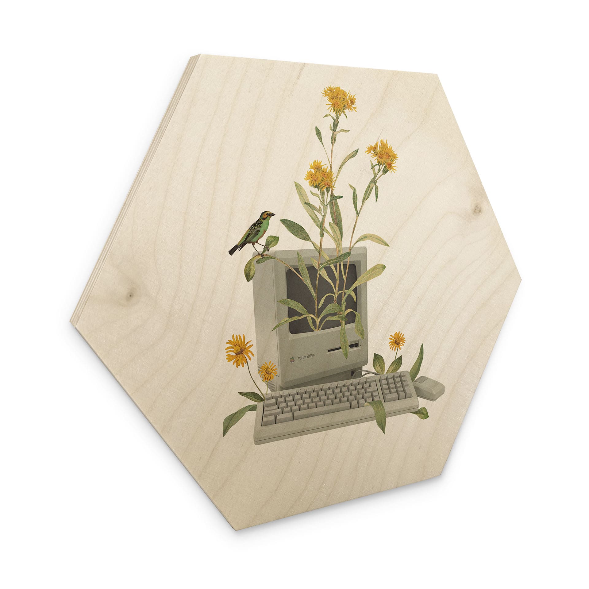 Hexagon-Holzbild Vintage Botanik-Computer - Frida Floral Studio