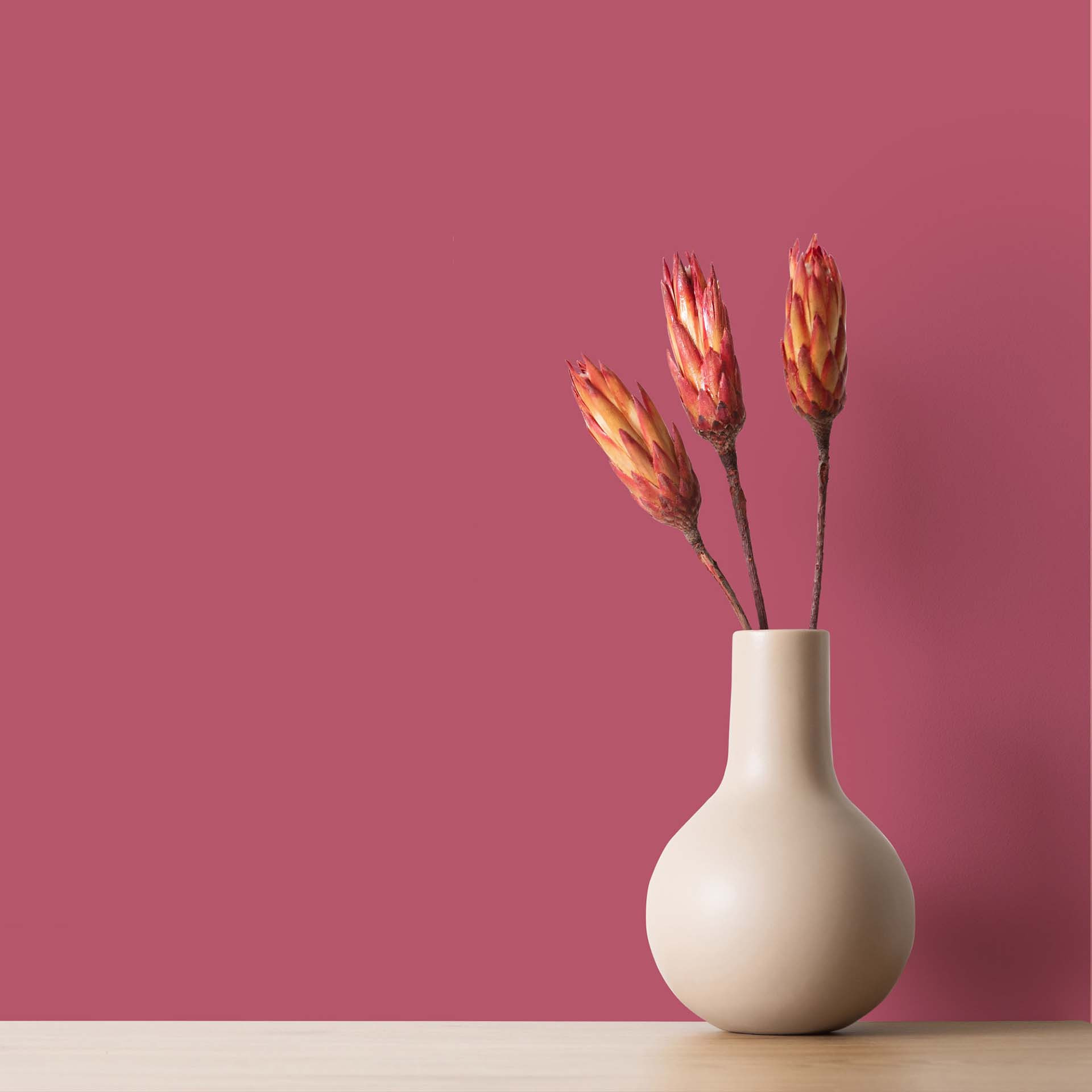 Wandfarbe Pink 5l Seidenmatt - Innenfarbe - THE COLOR KITCHEN Rosy Raspberry