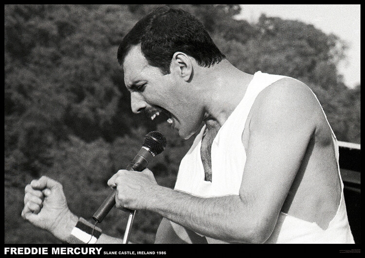 Poster Freddie Mercury - Slane castle, Ireland 1996, Plakat (84,1 x 59,4 cm)