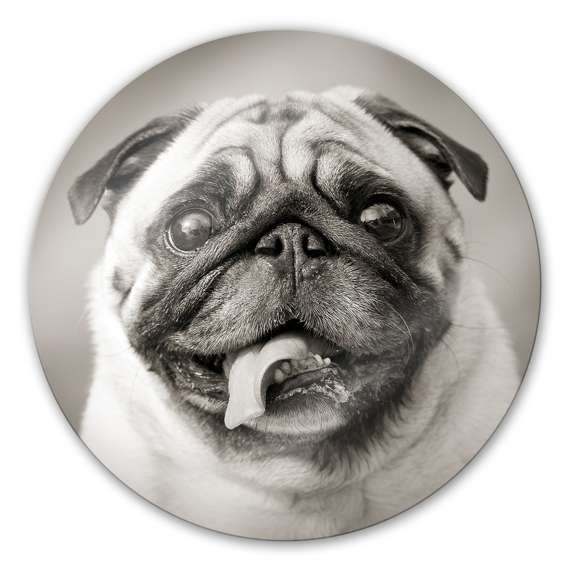 Tableau en verre - Adorable chien - rond