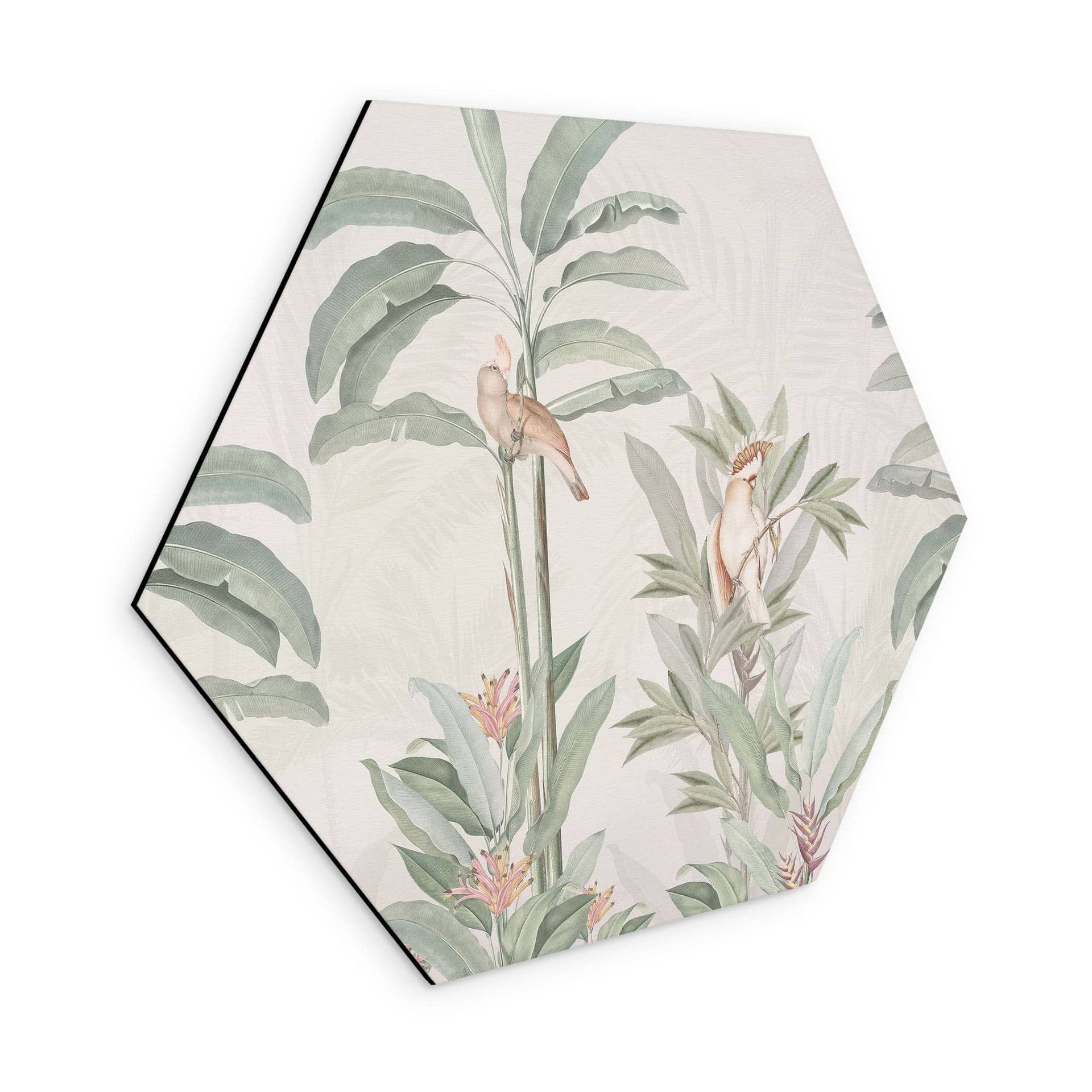Sekskantet billede Tropisk skov med kakaduer - Bloomery Decor - Aluminium dibond