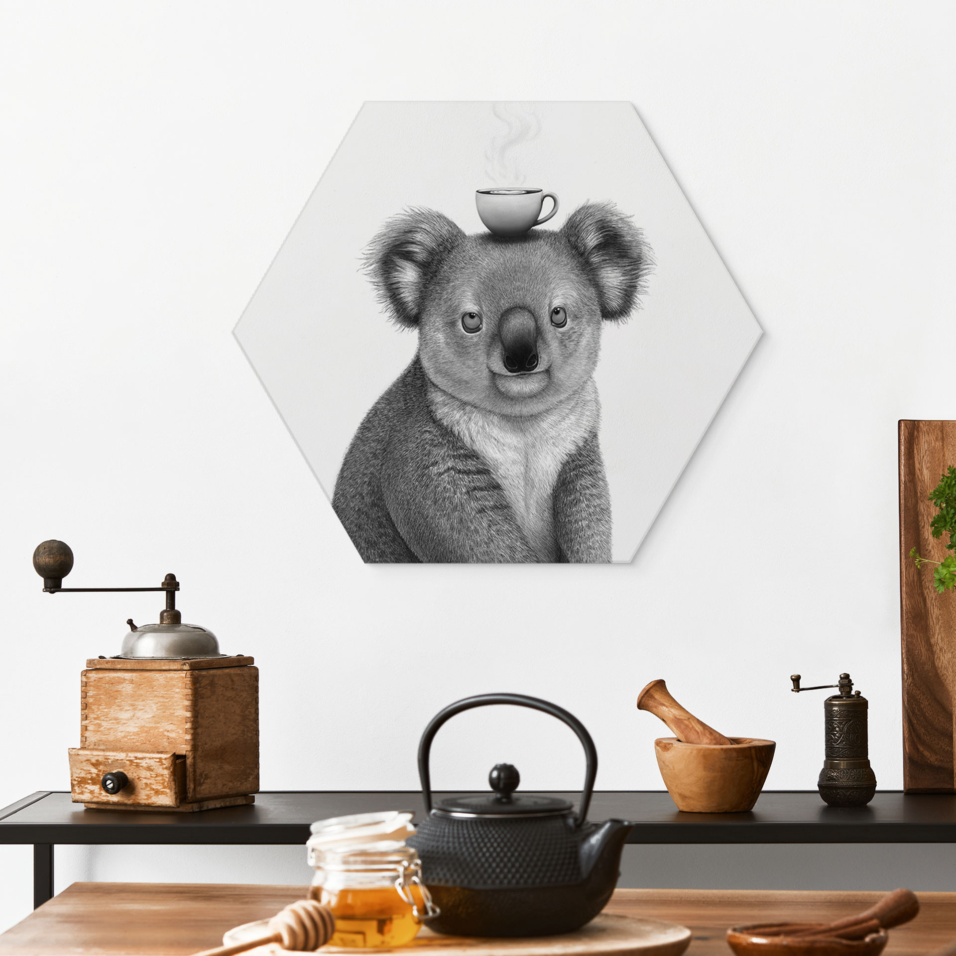 Hexagon Billede Koala med kaffe - Korenkova - Alu-Dibond