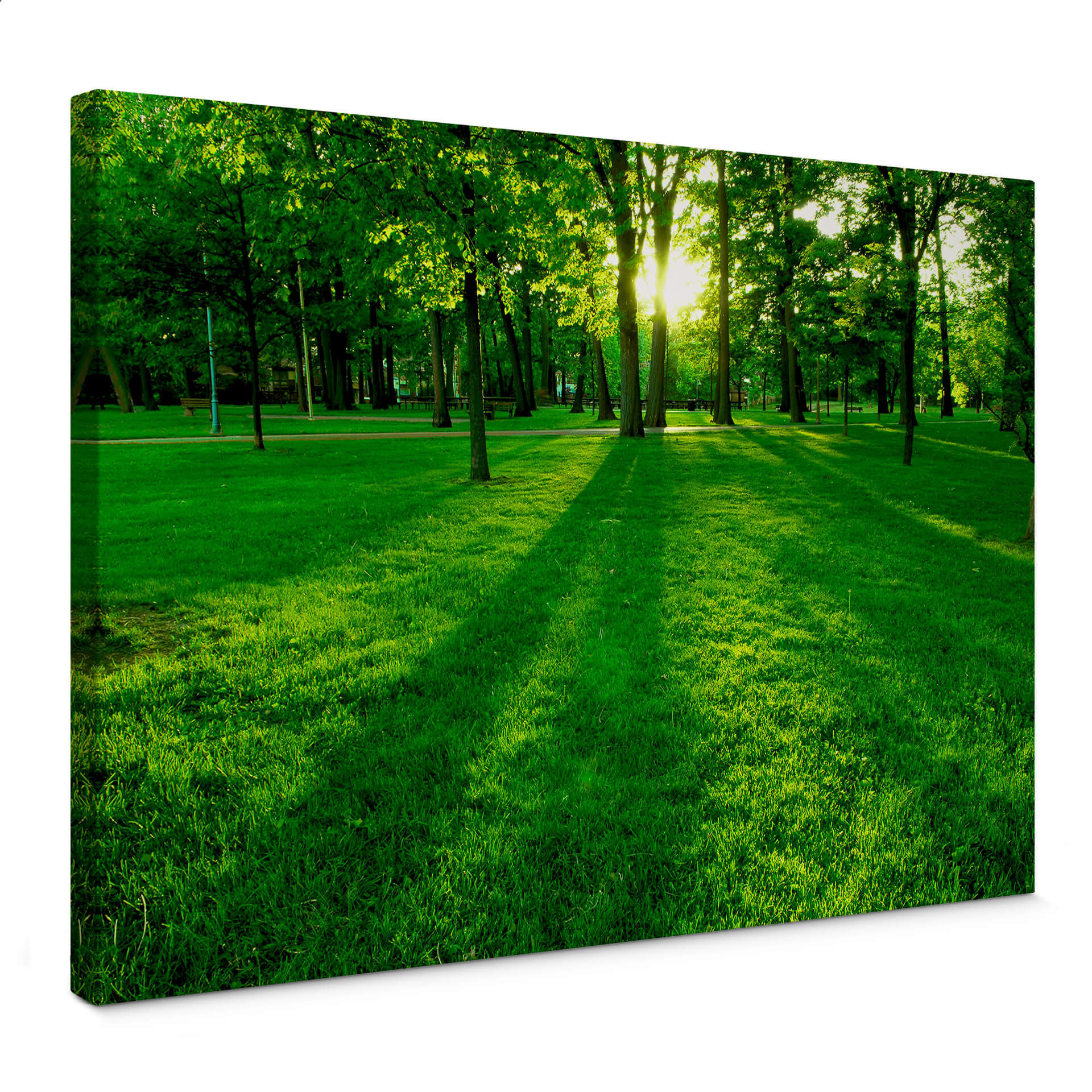 Obraz na płótnie park na wsi