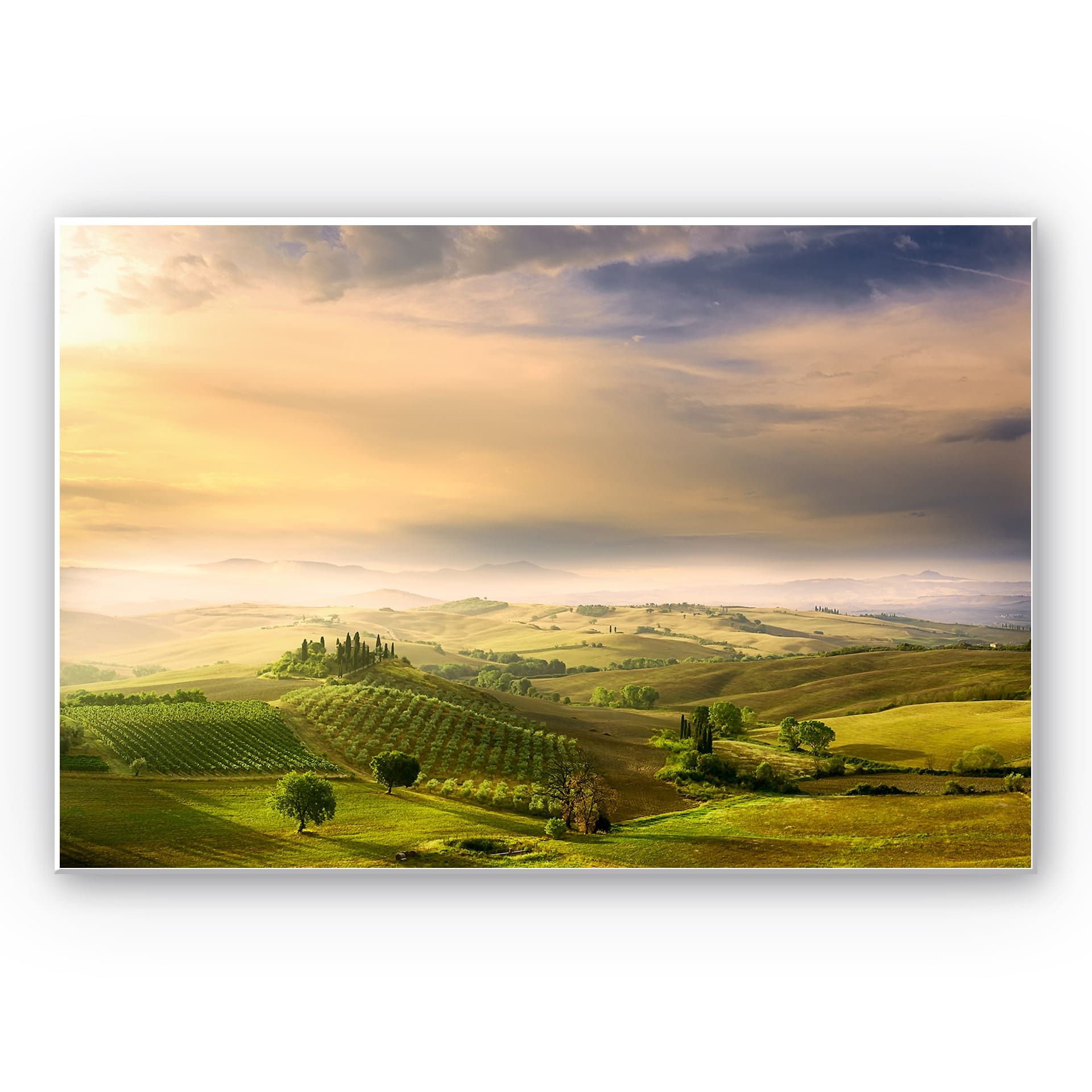 Wandbild Bratkovic - Podere Belvedere