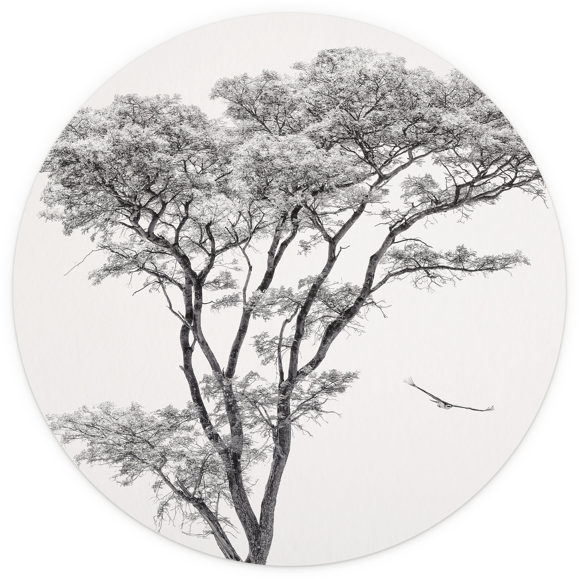 Minimalistische boom in rustig landschap | natuur Fotobehang - Meel - rond - vliesbehang/zelfklevend
