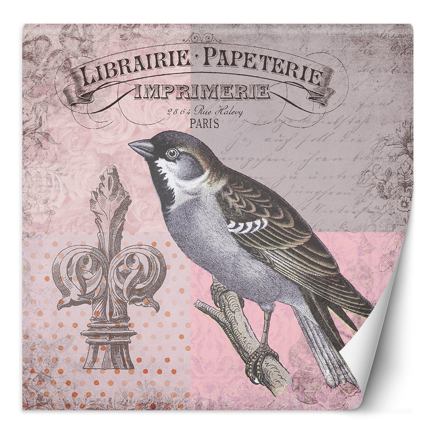 Fototapete, Vogel Natur auf rosa Hintergrund Shabby Chic - Andrea Haase