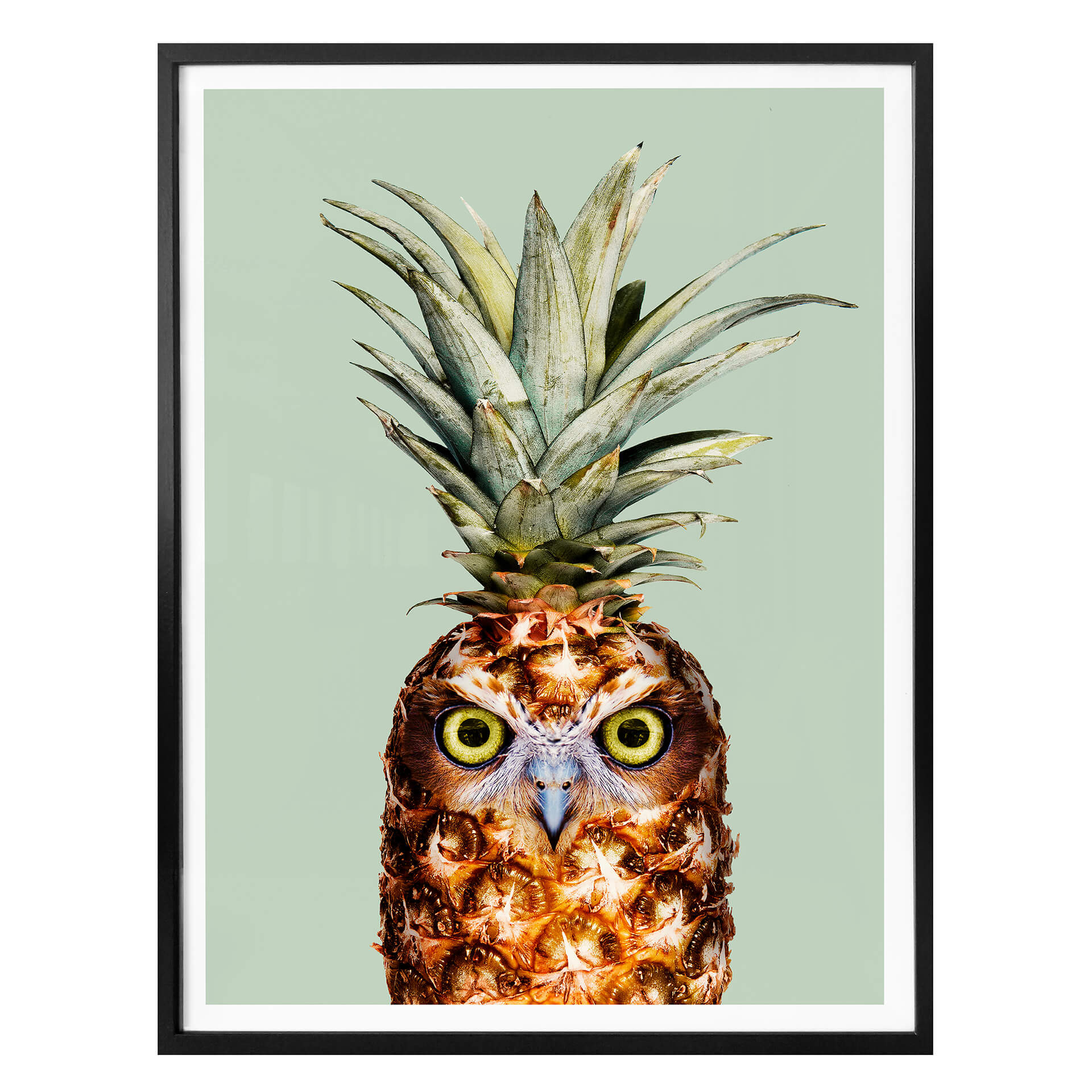 Plakat Loose - Ananasowa sowa