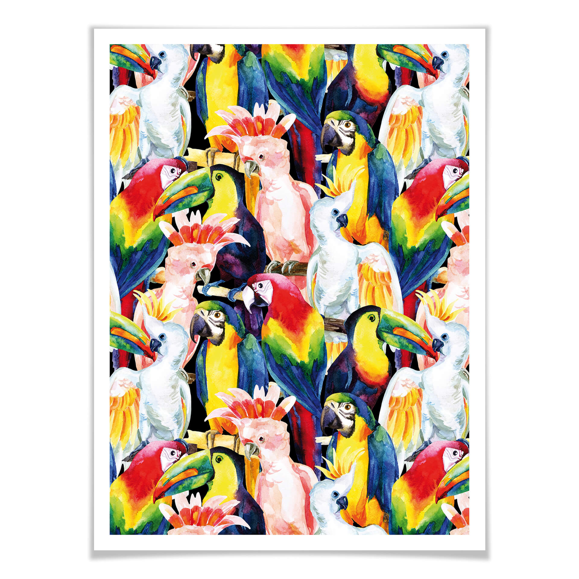Poster Tropical Birds