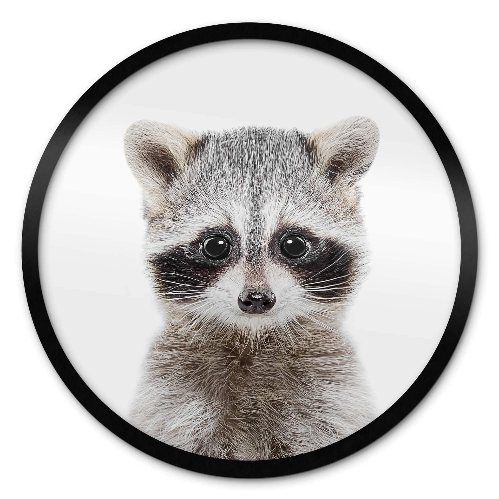 Poster Sisi & Seb - Raccoon