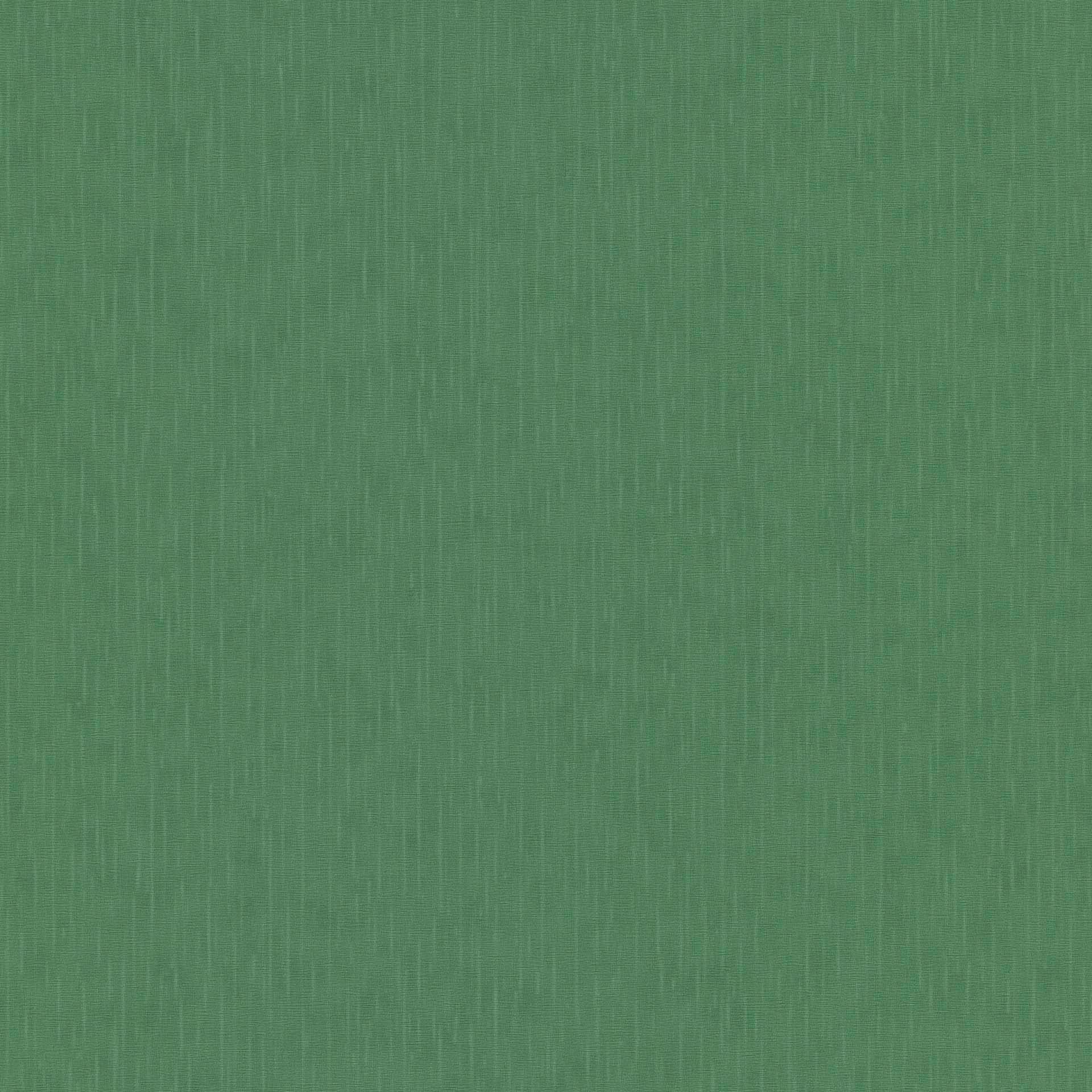 Próbki