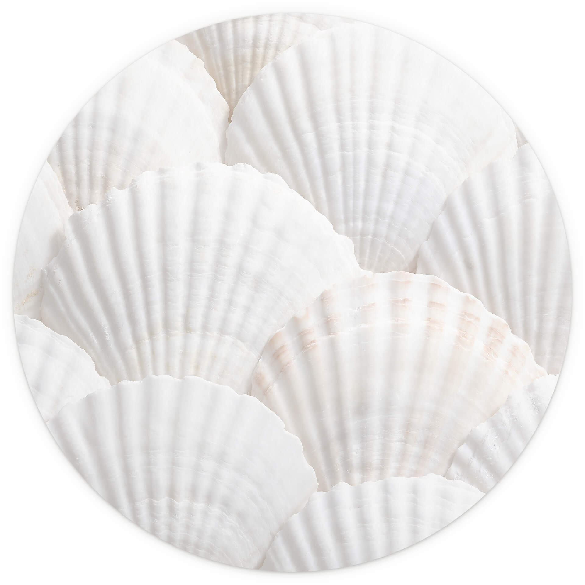 Behangcirkel 1X Studio - Schelpen - vliesbehang/zelfklevend vliesbehang