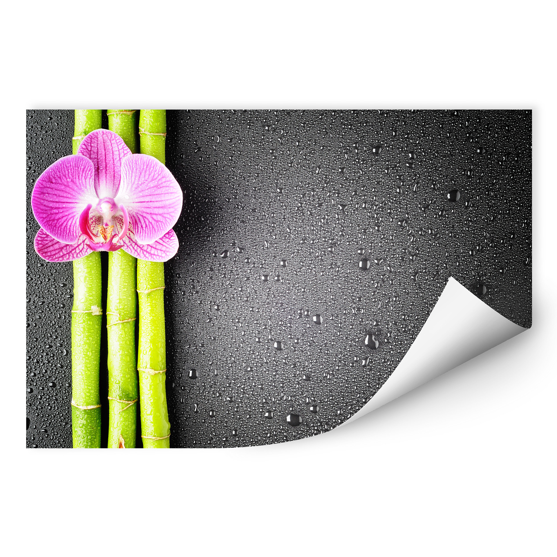 Wallprint W - Orchid and Bamboo