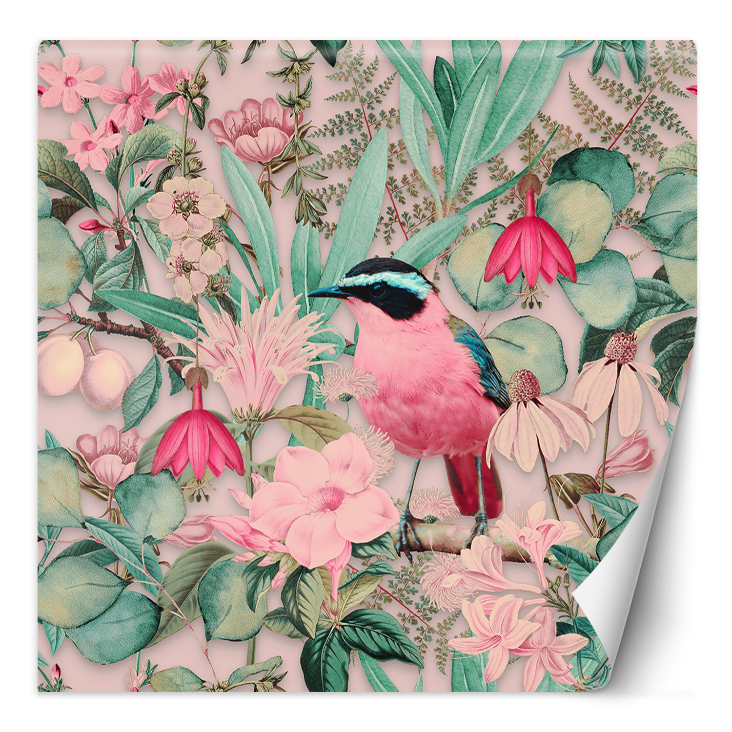 Fototapete, Shabby Chic Rosa Vogel Tropen - Andrea Haase