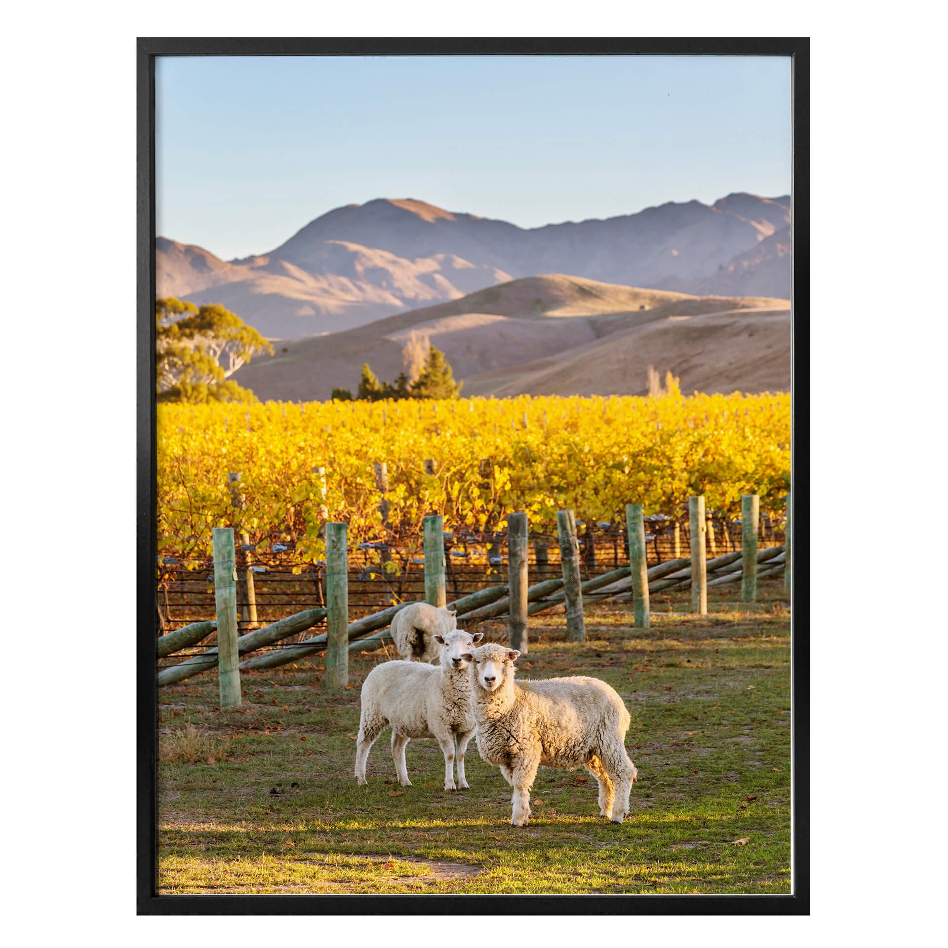 Poster Colombo - Coucher de soleil dans les montagnes