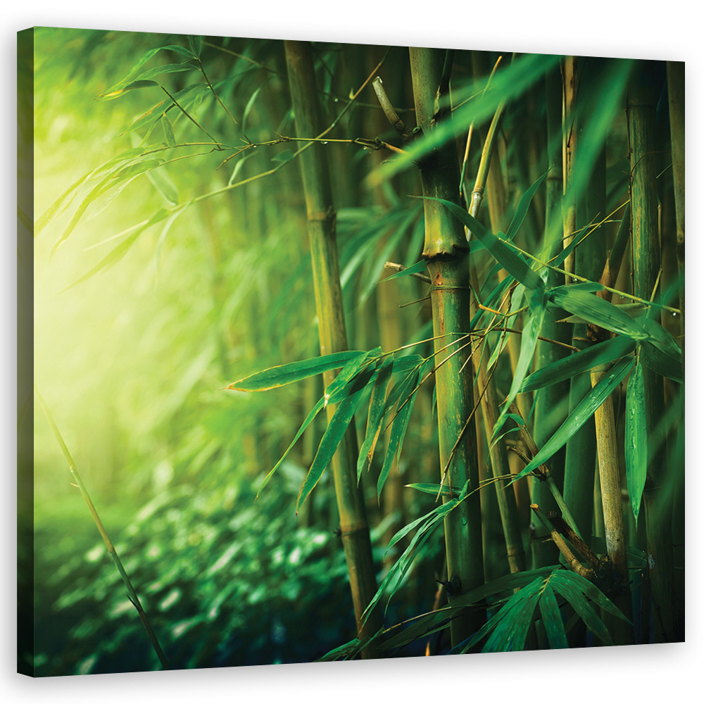 Canvasbillede, jungle bambus planter