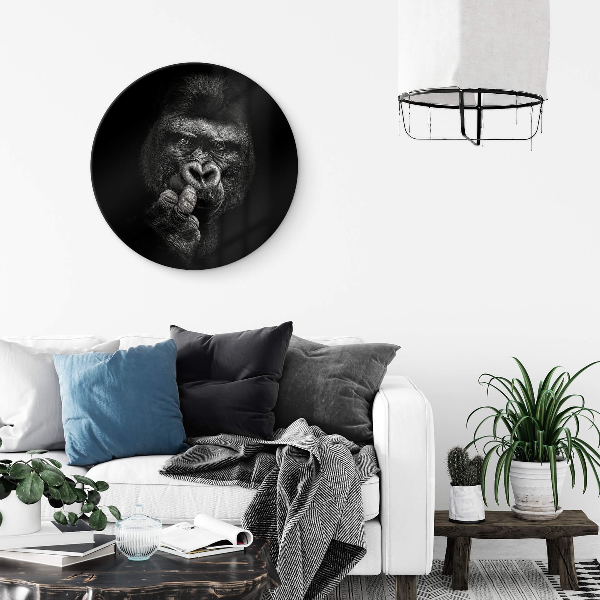 Tableau en verre Meermann - Le gorille - Rond